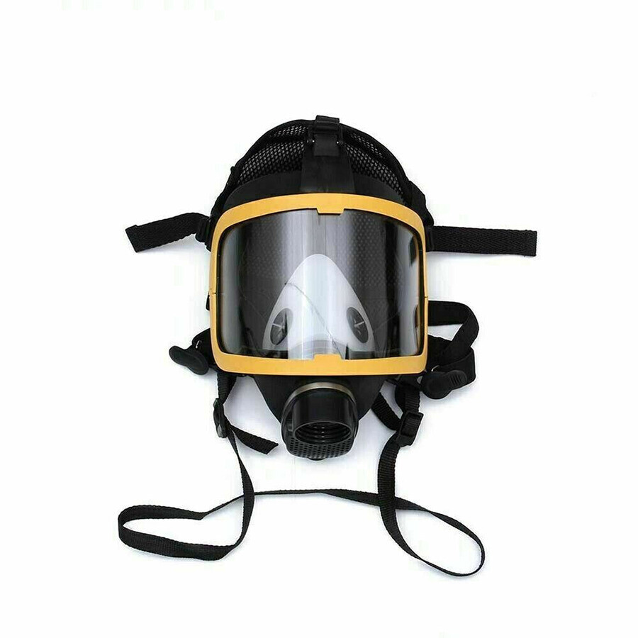 Full Face Gas Mask Flow Respirator Electric Supplied Air Fed Flow System Device