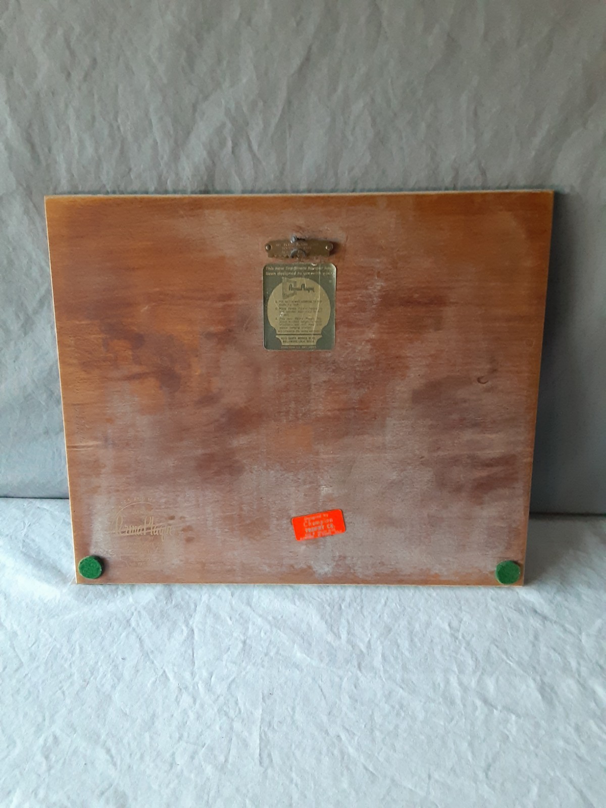 US Scott C3-C3a Inverted Jenny Air Mail Framed Wall Decor