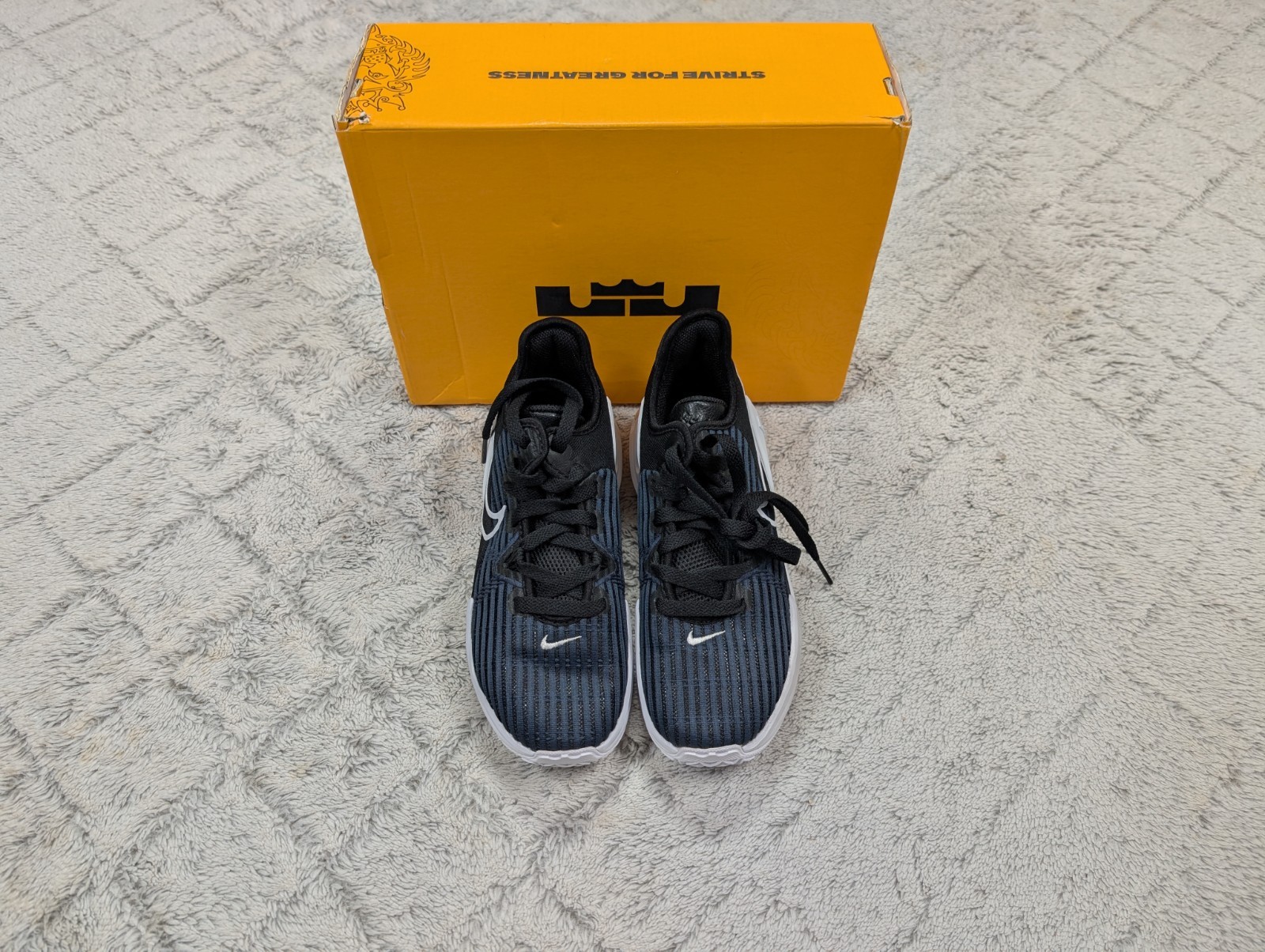 Nike Lebron Witness VI (GS) Black White Basketball Shoes Boys Size 4Y DD0423-002