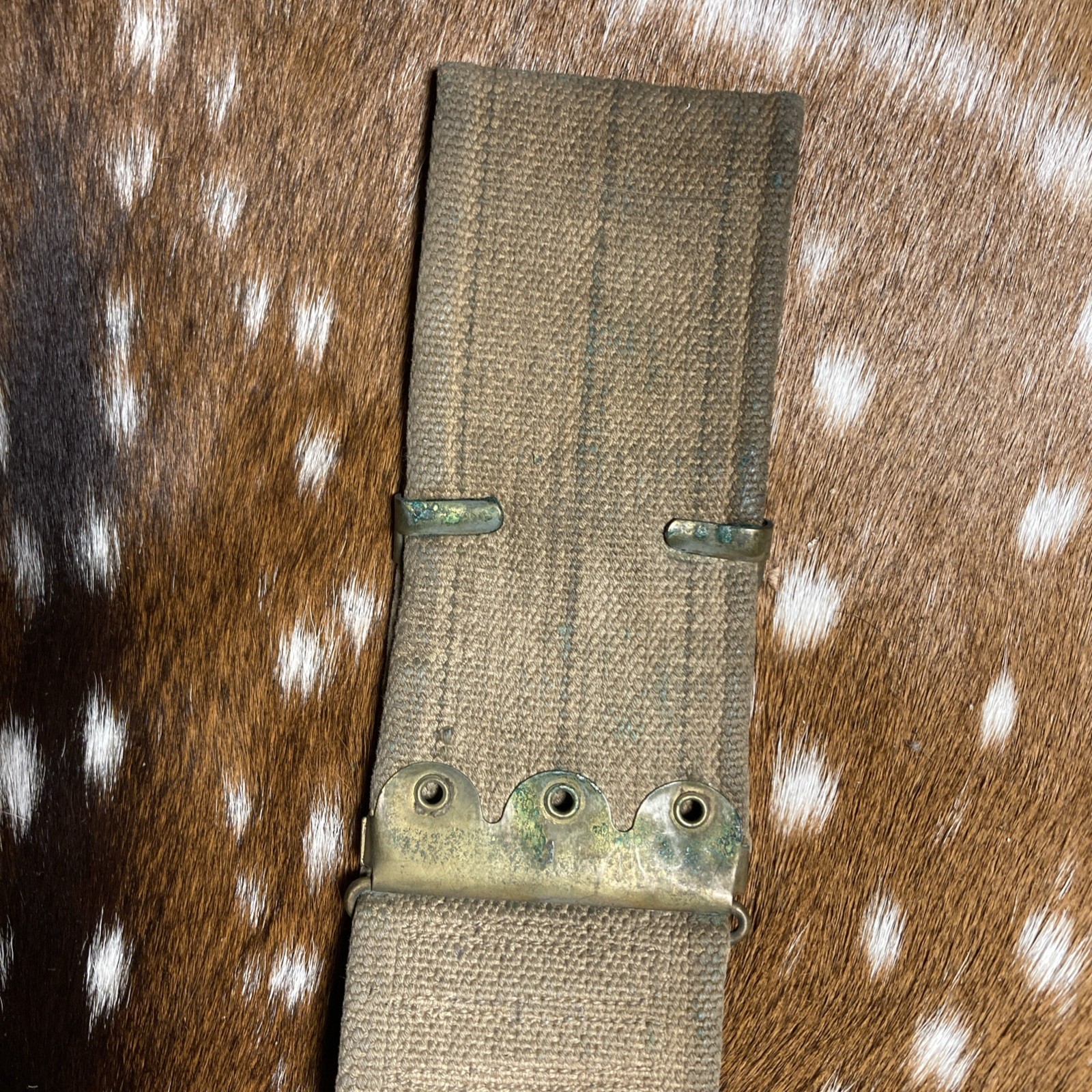 SPANISH AMERICAN WAR U.S. KRAG AMMO CANVAS BELT 45 SLOTS 30-40 Krag ?