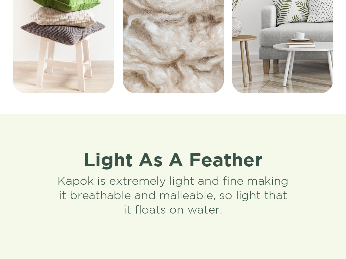 Premium Kapok -Organic Fiber Fill - Perfect for Pillows, Pet Beds and Crafts