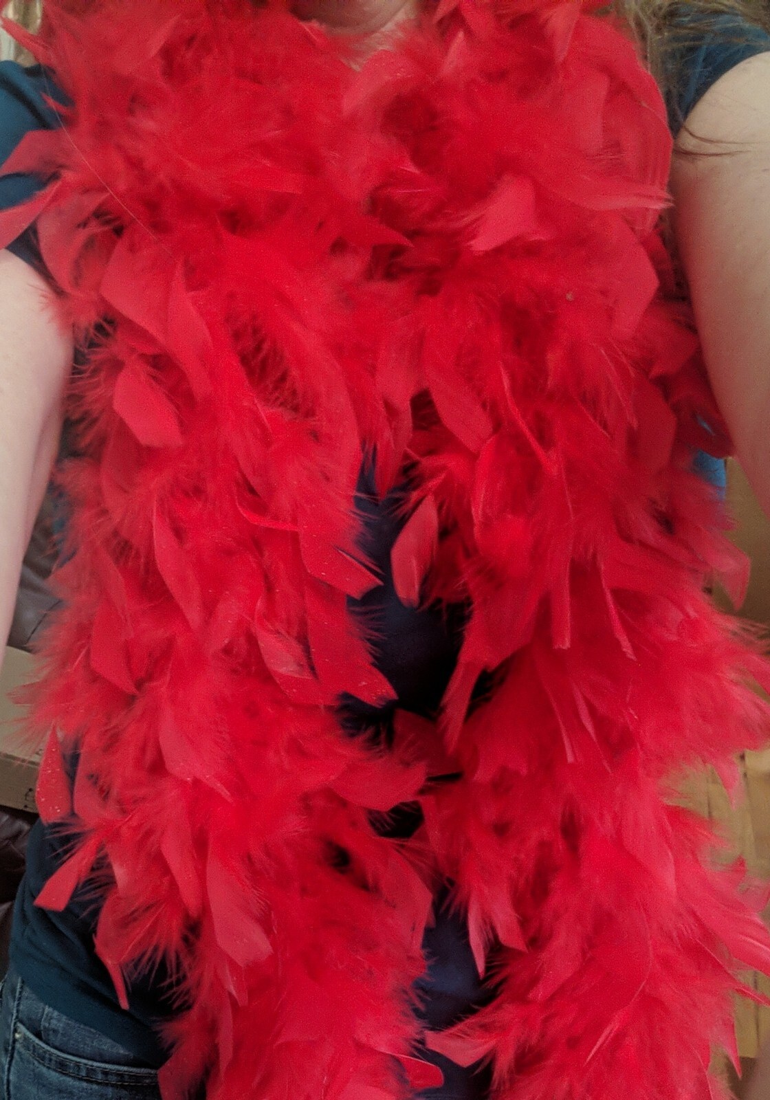 Red Feathers Boa String 6 Feet Long Accent Dance Piece Costume Sexy