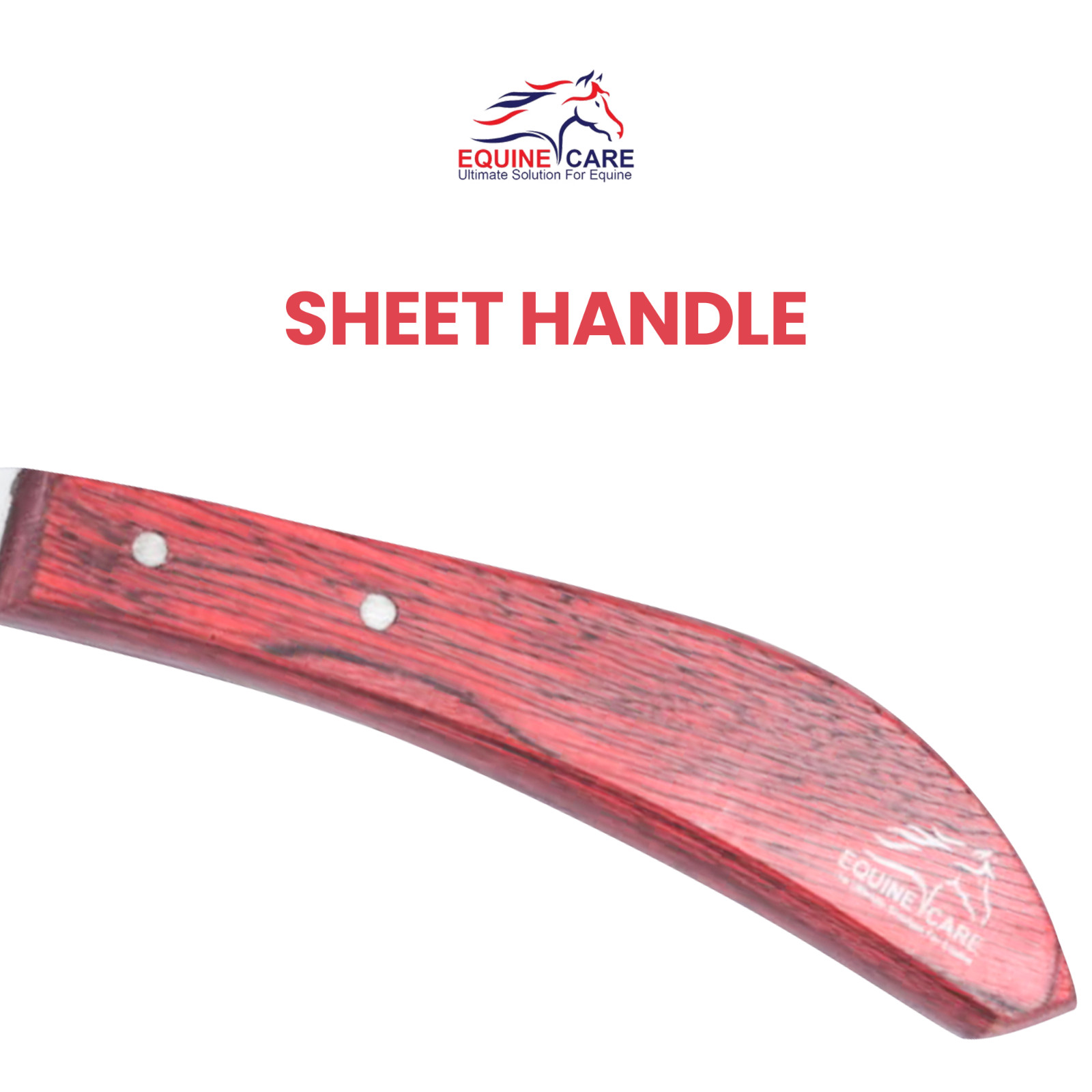 Bot Egg Knife for Horses Precision Grooming Tool for Bot Egg Removal