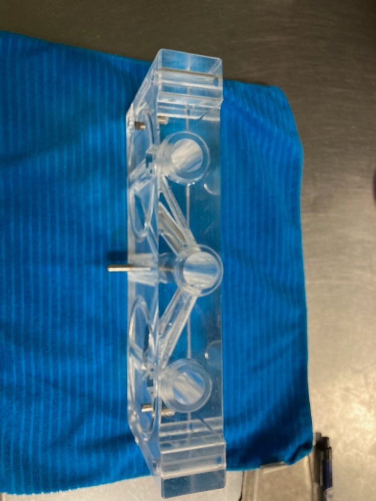 Stoelting Front Door W/Pins 2177427 - + Geniune OEM