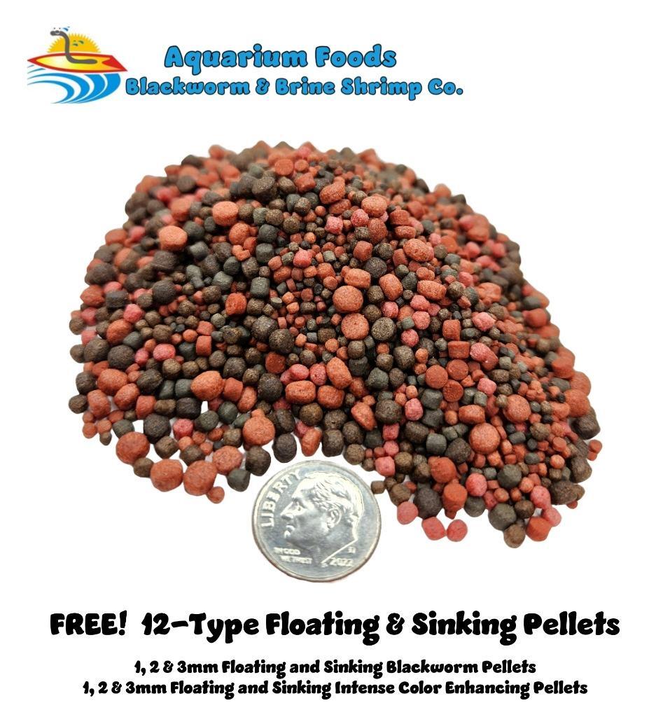 1MM COLOR ENHANCING FLOATING PELLETS! SMALL KOI, GOLDFISH, POND! FREE SHIPPING!
