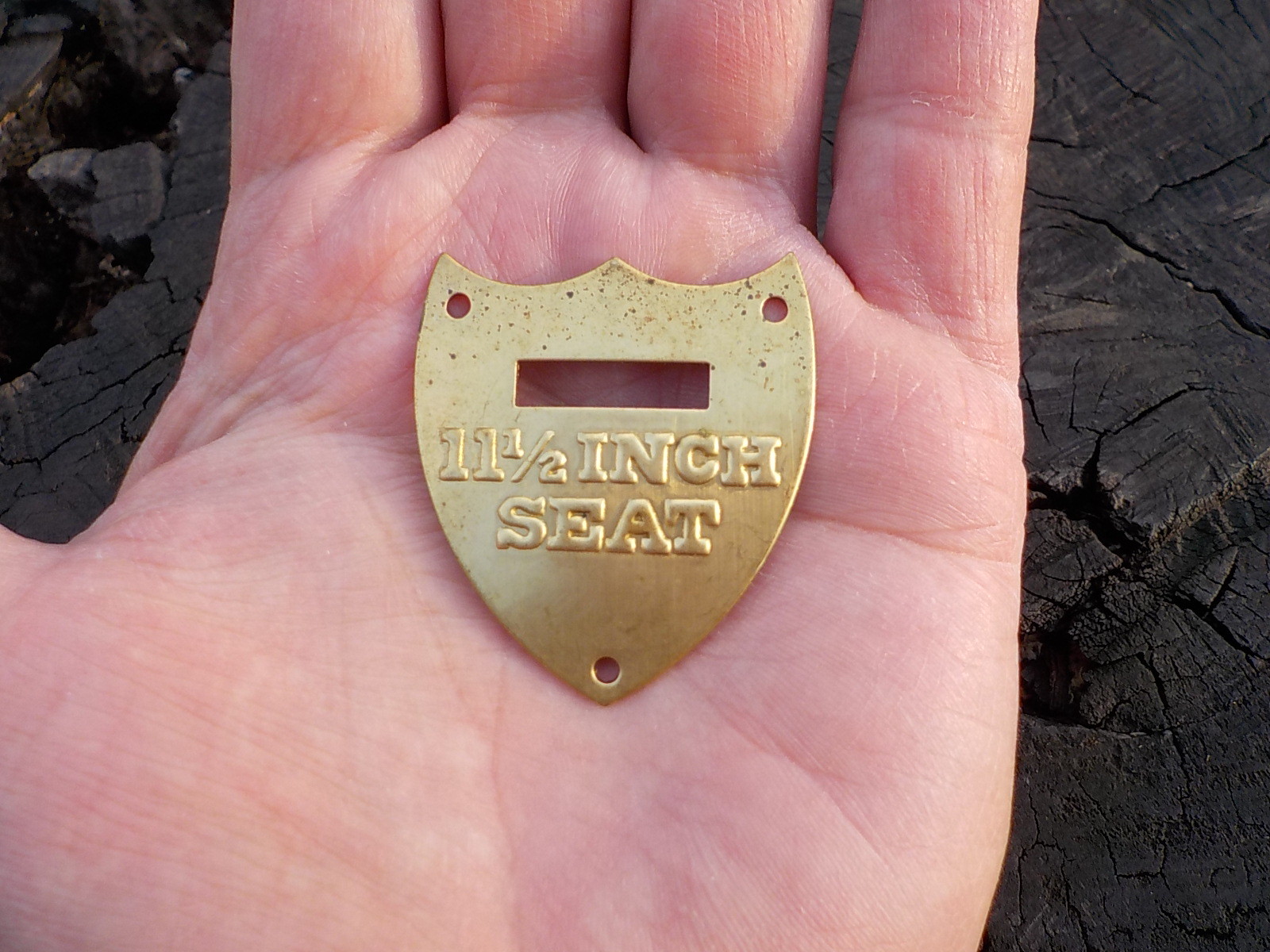 11 1/2 Inch Calvary Saddle Shield with Free Display Case for Display and Protect