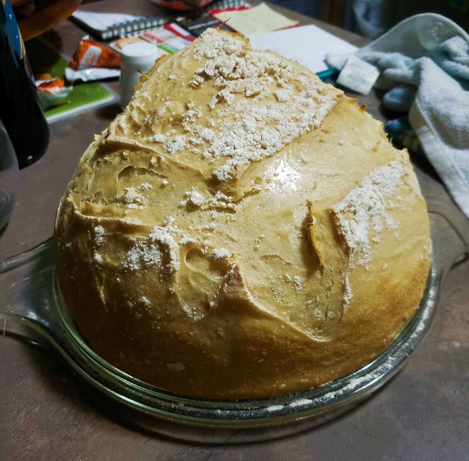 San Francisco SOURDOUGH STARTER WELL OVER 220 YRS OLD VERY STRONG VERY SOUR