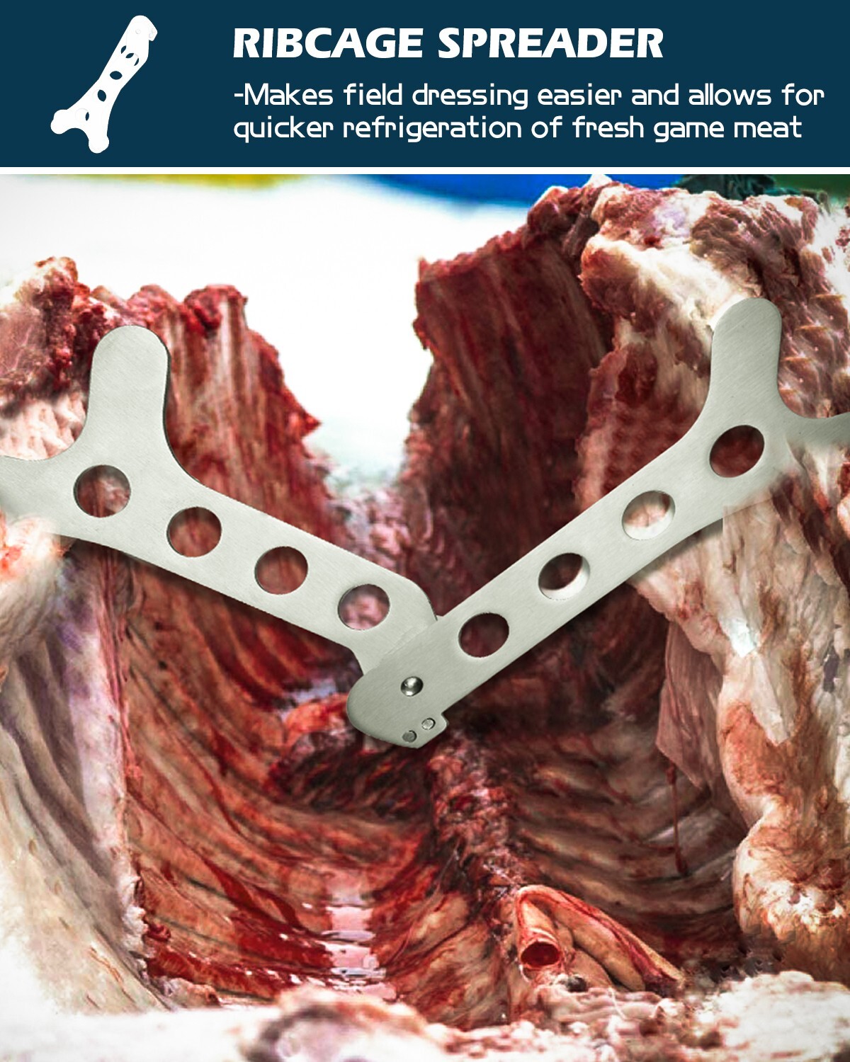 Dispatch 6PCs Hunting Knife Set - 3Cr13 Blades Deer/Elk Game Processor Kit