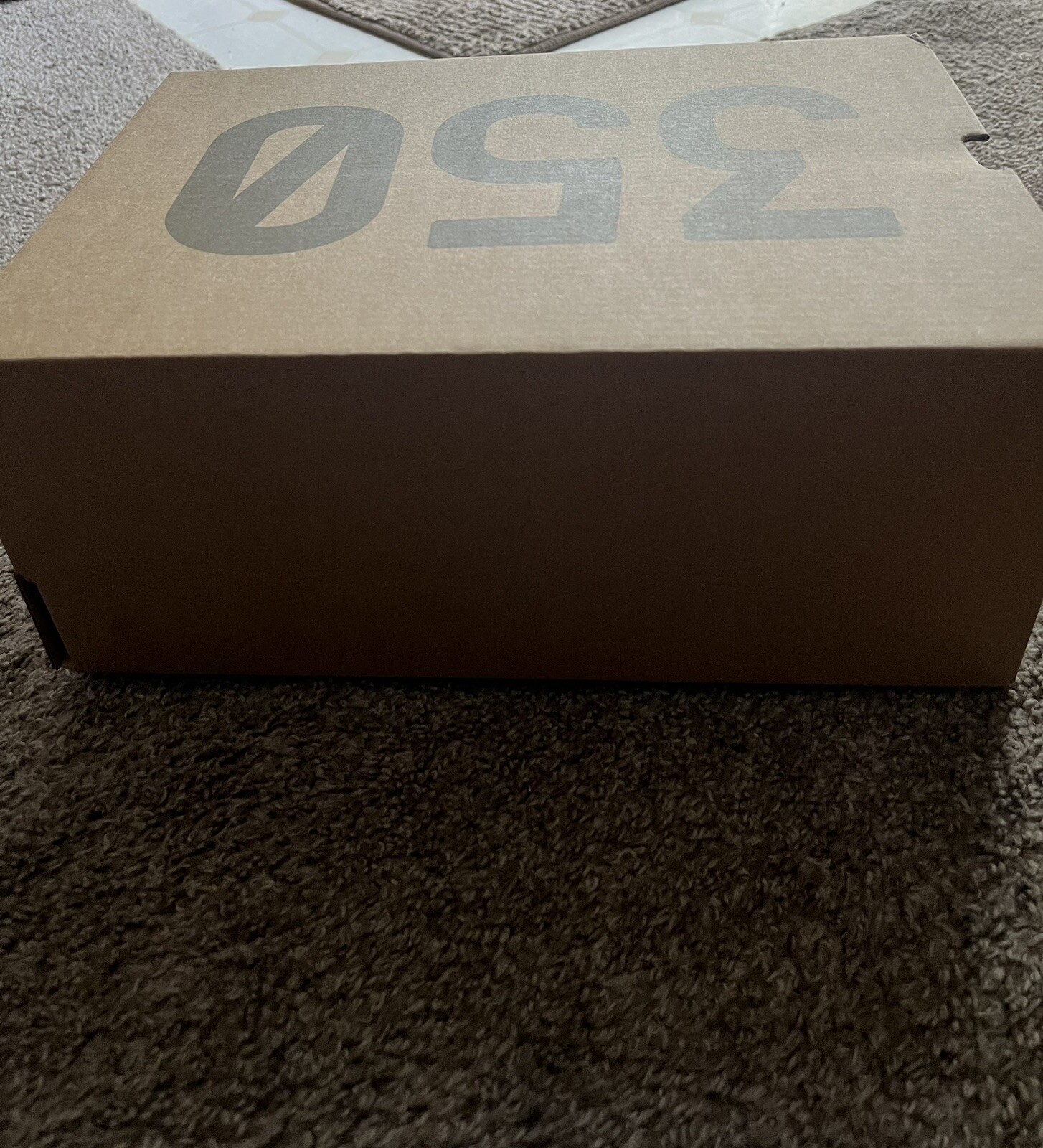 Adidas Yeezy Boost 350 Empty Shoe Box Only Plain No Size Label NEW orig Packing