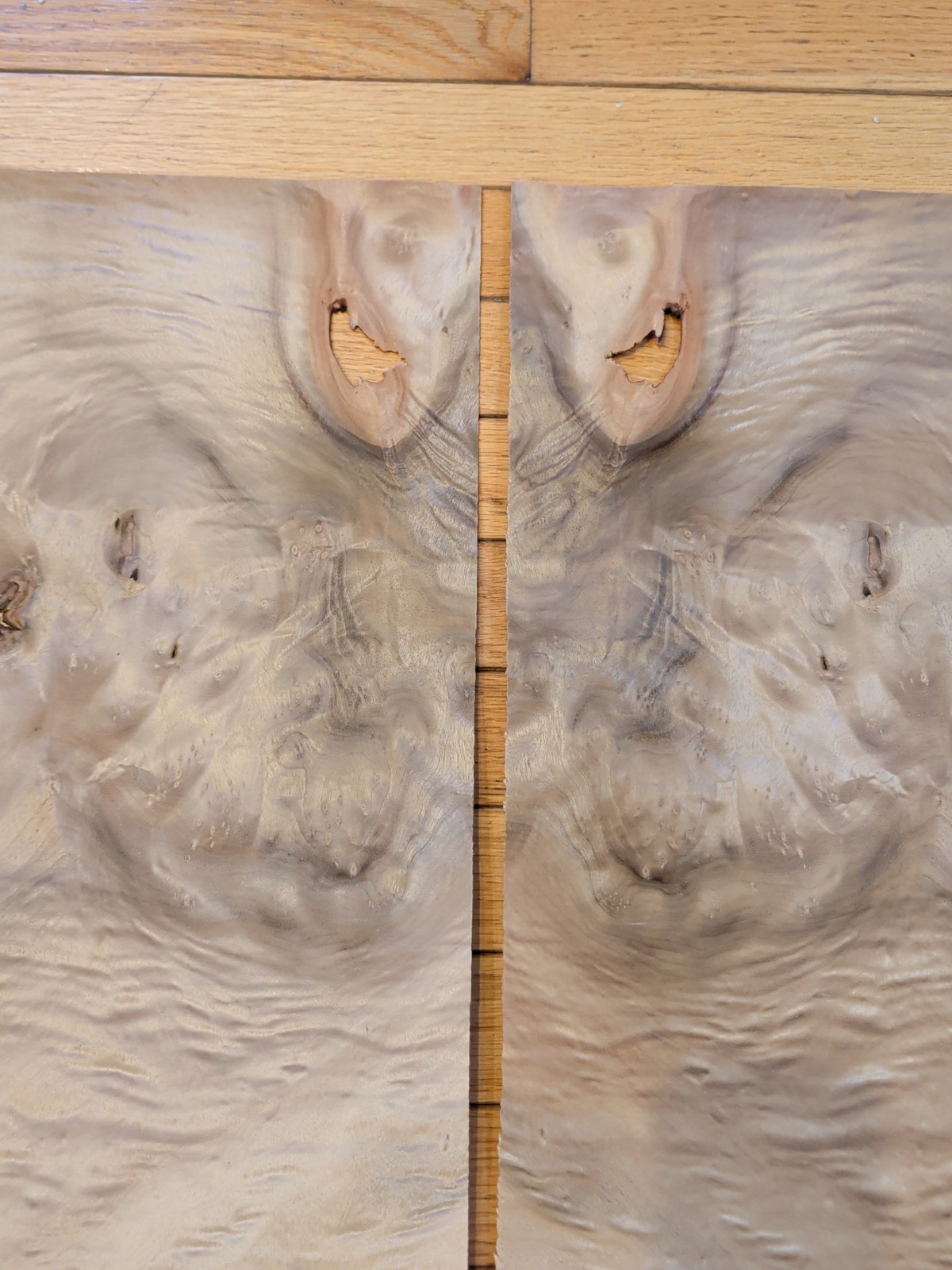 Myrtlewood veneer 26" x 16" guitar Luthier 1/42" wood flame burl holes