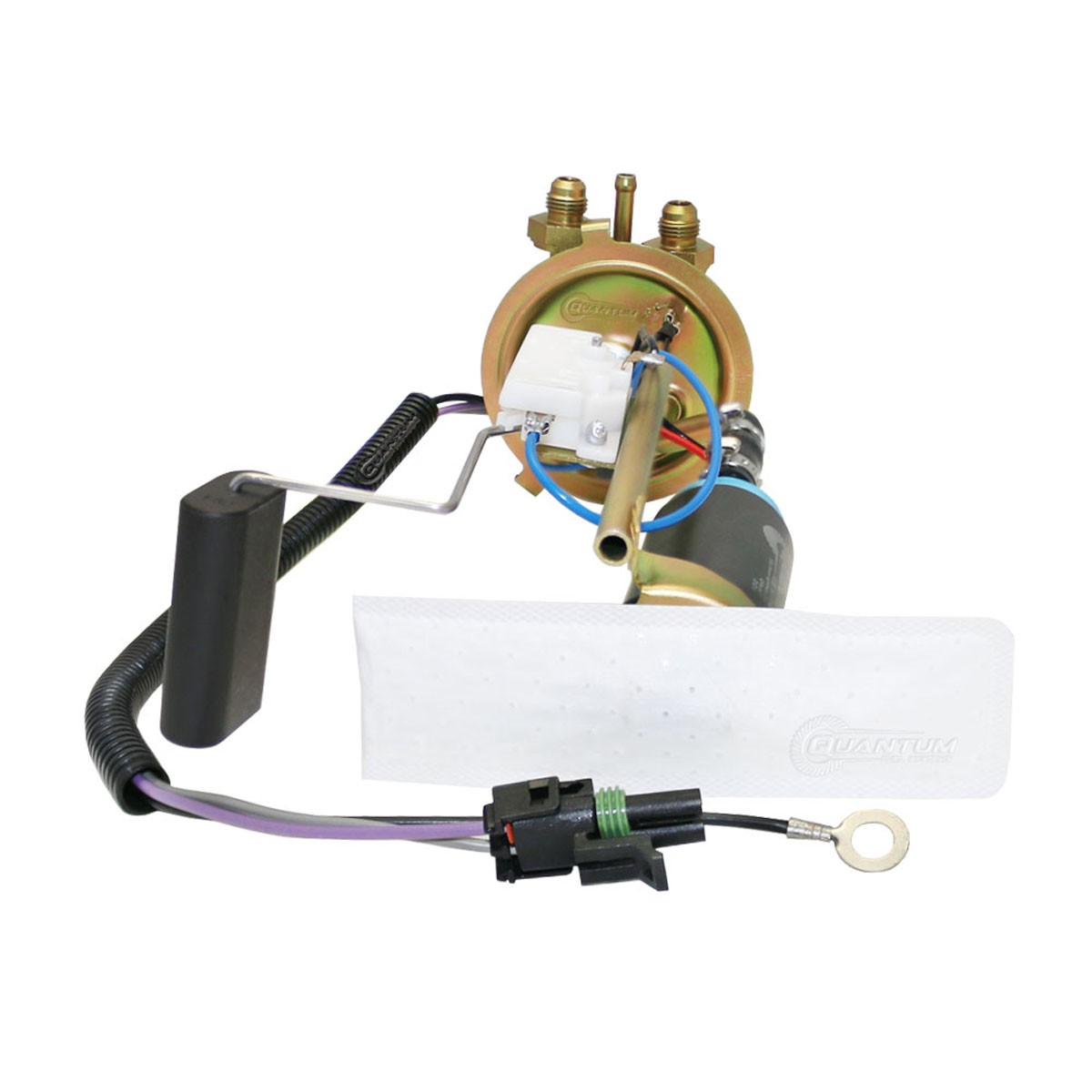 QFS Squarebody 73-91 Chevy GMC LS/LT Swap 255LPH AN Fitting Hanger +Send +Filter