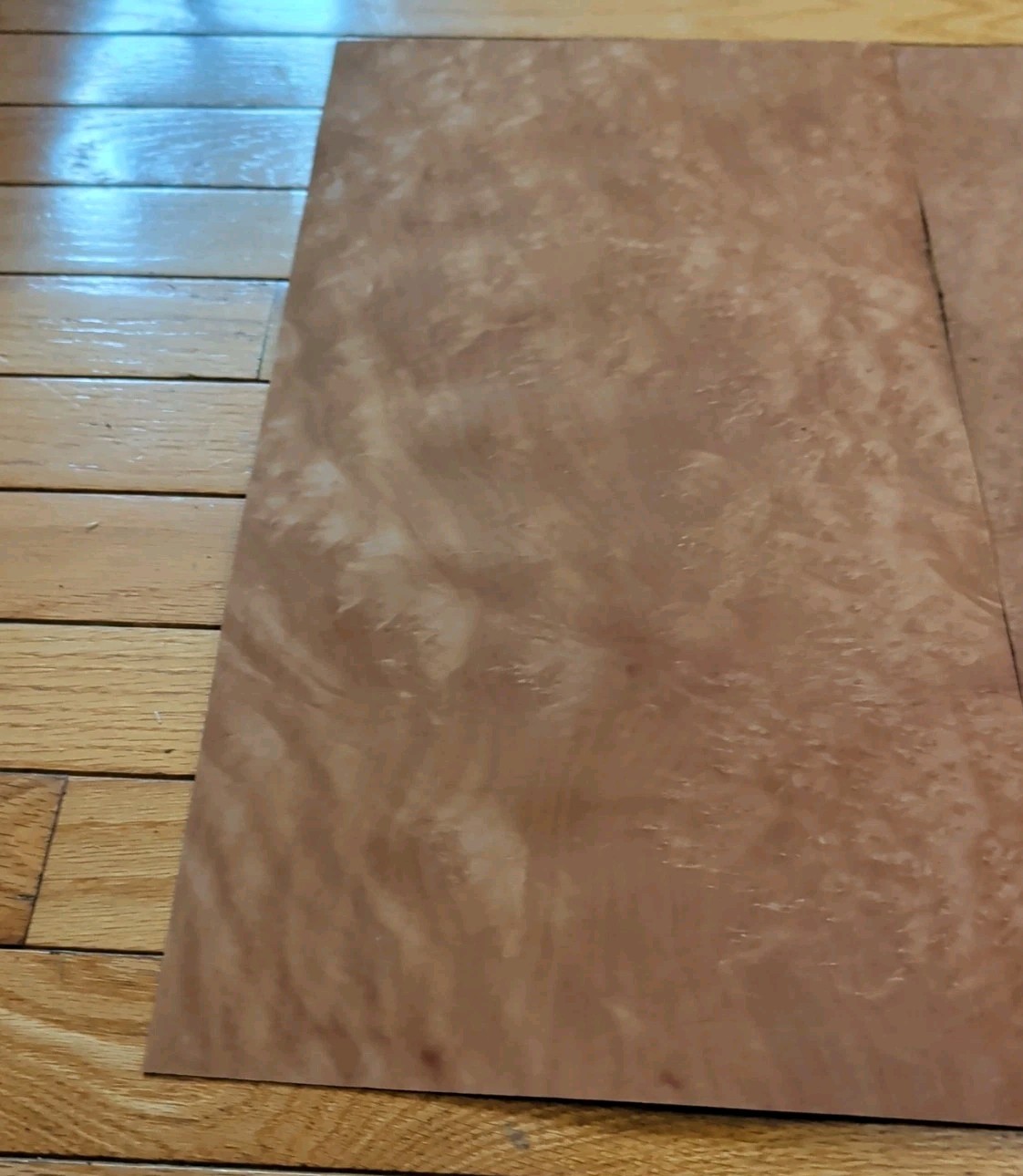 Madrone burl veneer 10 1/2" x 19 1/4" each, 2 pieces wood 1/42" raw