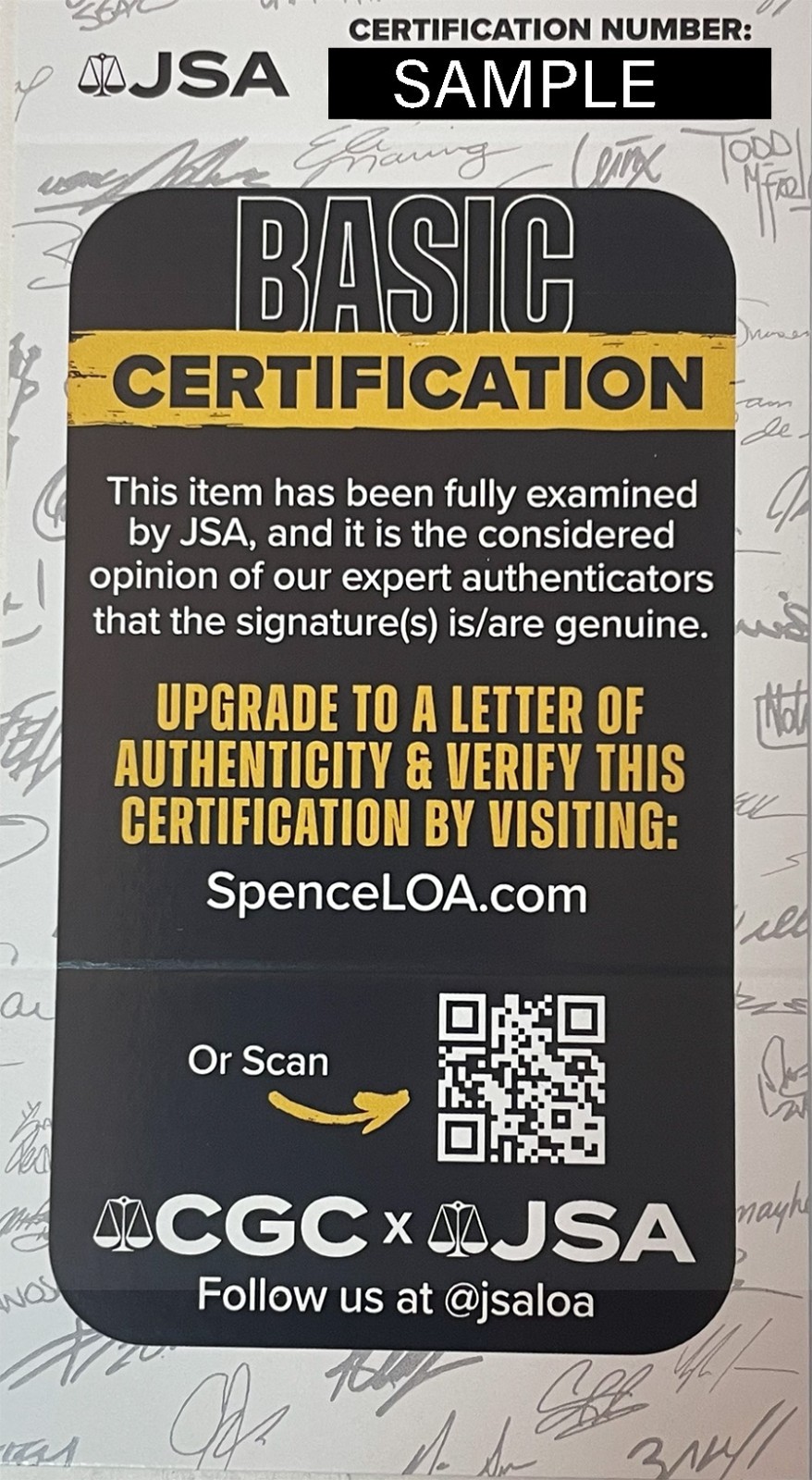 Taylor Swift Signed Reputation Framed 11x14 Display JSA COA