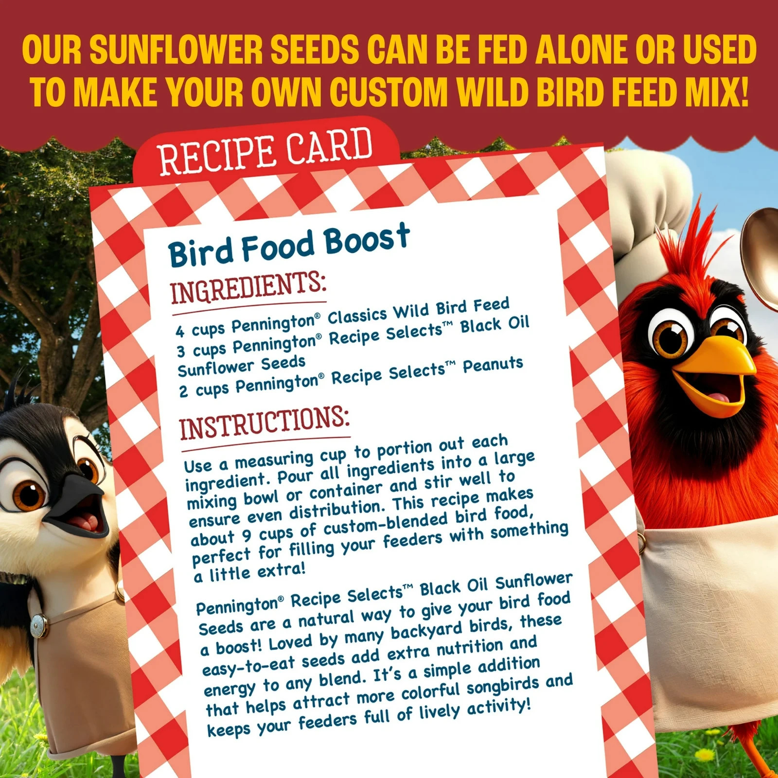 Pennington Select Black Oil Sunflower Seed Wild Bird Dry Feed, 10 lb. New Bag