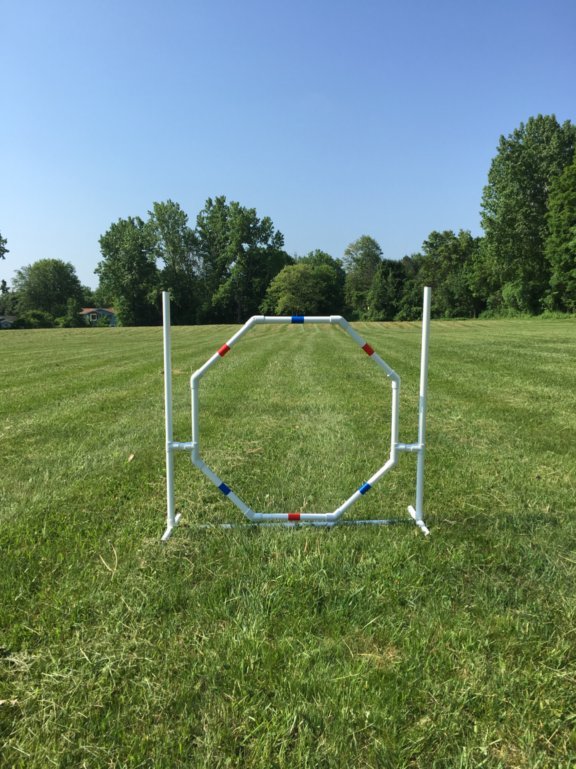 Dog Agility Equipment Premium Quality Starter Set for beginners! ⭐⭐⭐⭐⭐