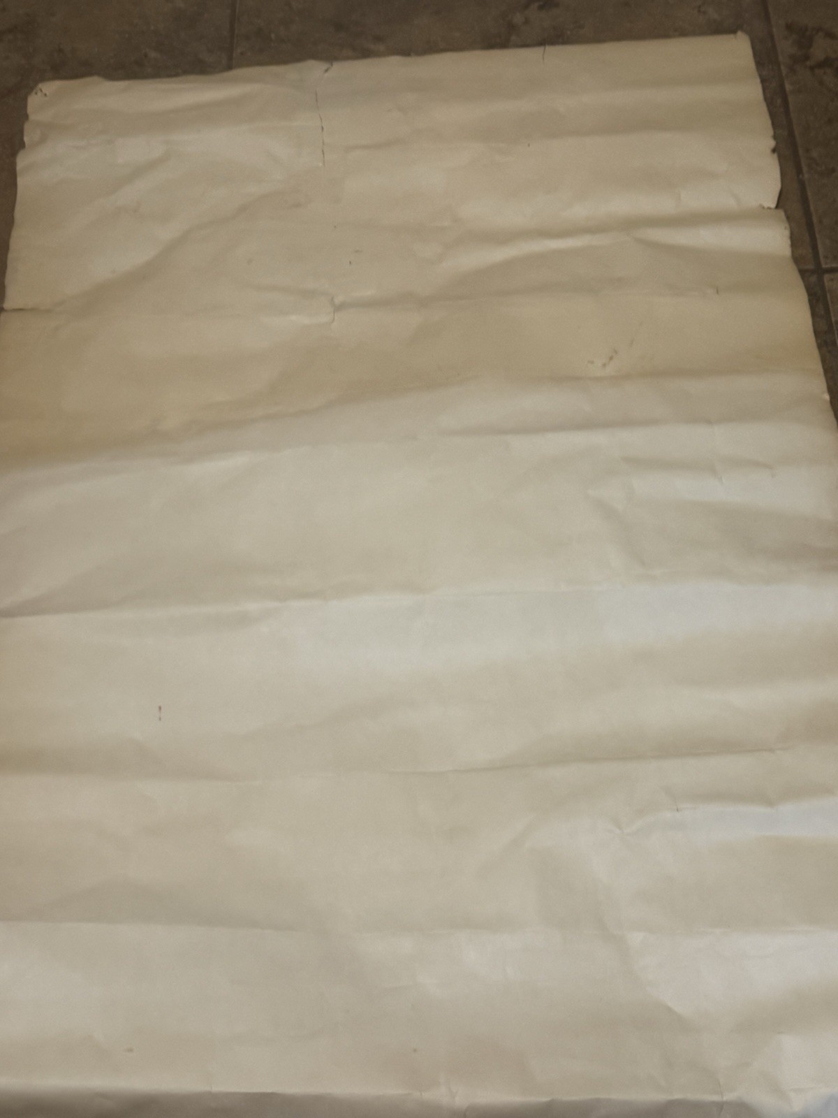 Vintage 1972 Alice Cooper Poster Studio One RARE 24 X 36