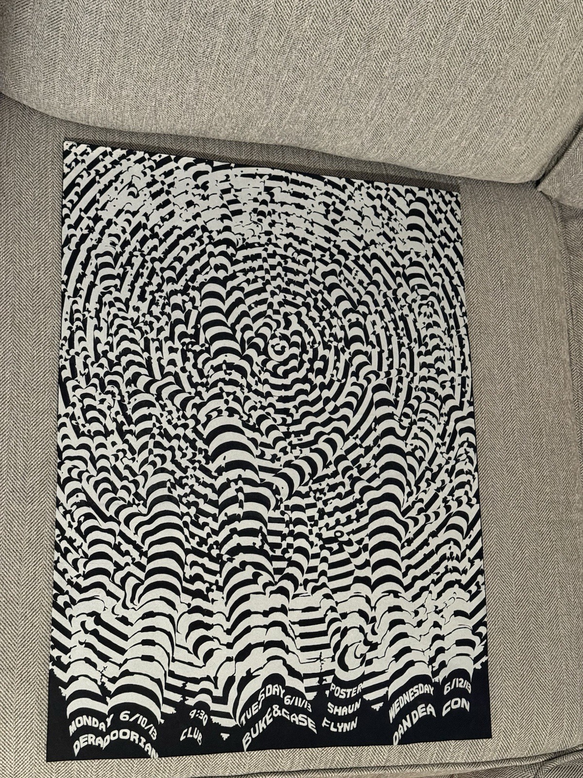 Animal Collective autostereogram Concert Poster 9:30 Club Dc 2013 Rare Pandabear