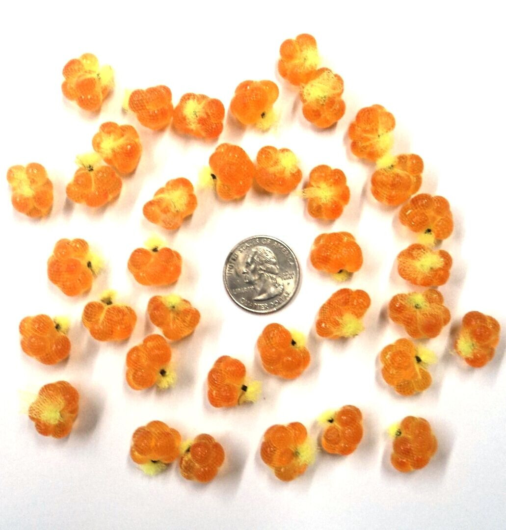 Chartreuse Spawn Sacs, 36 ct, Harvested/Cured/Certified in MI, Fishing #SS12VCH