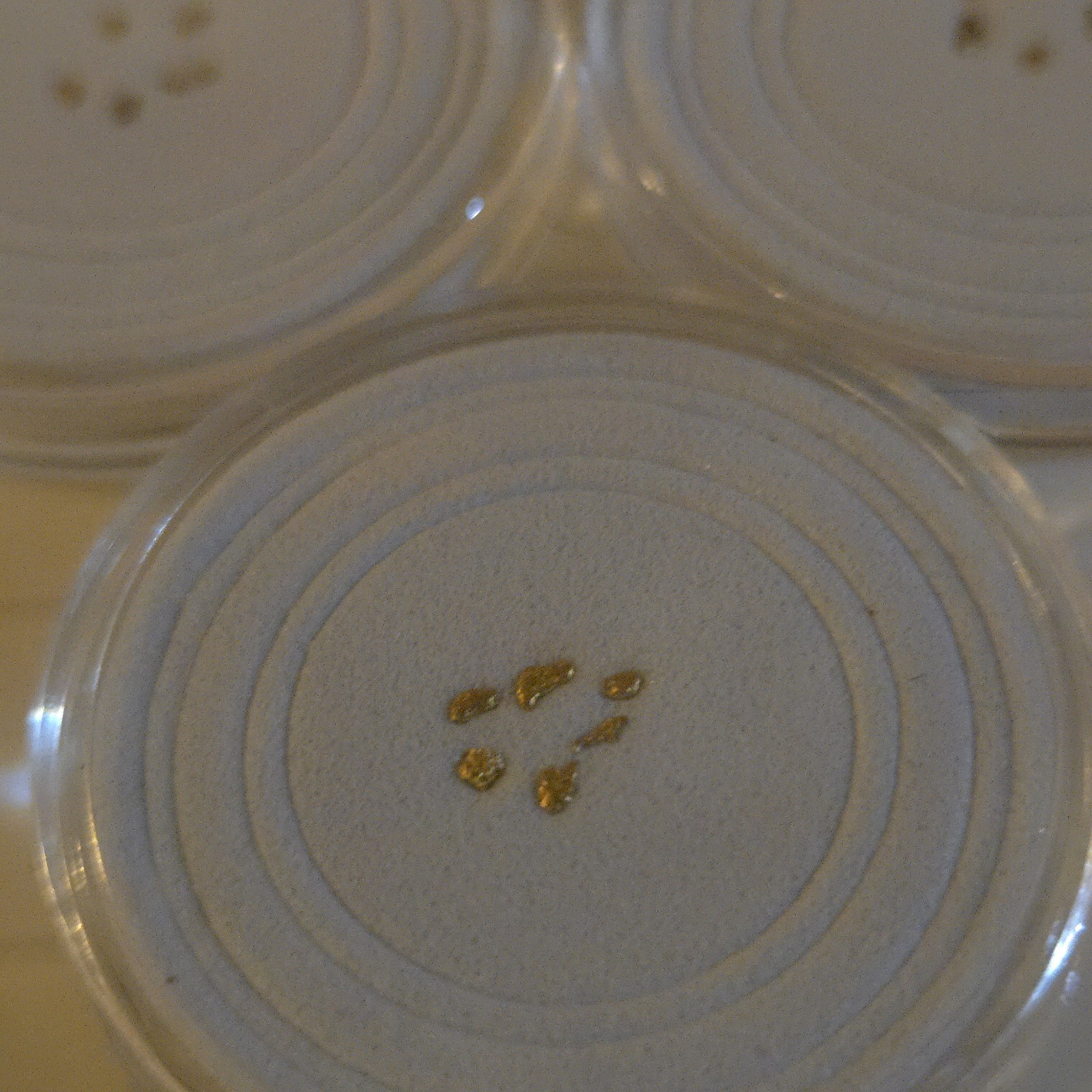 Beautiful 25 Mesh Natural Gold Nuggets (5 Piece Lot) In Unique Gift Box