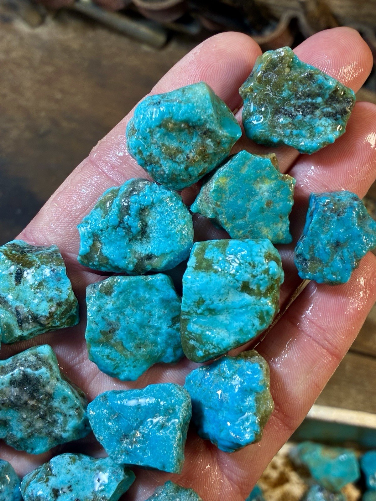 1 Lb. Ithaca Peak, Real Turquoise! Electric blues! High in matrix. ❤️‍🔥3 Left!