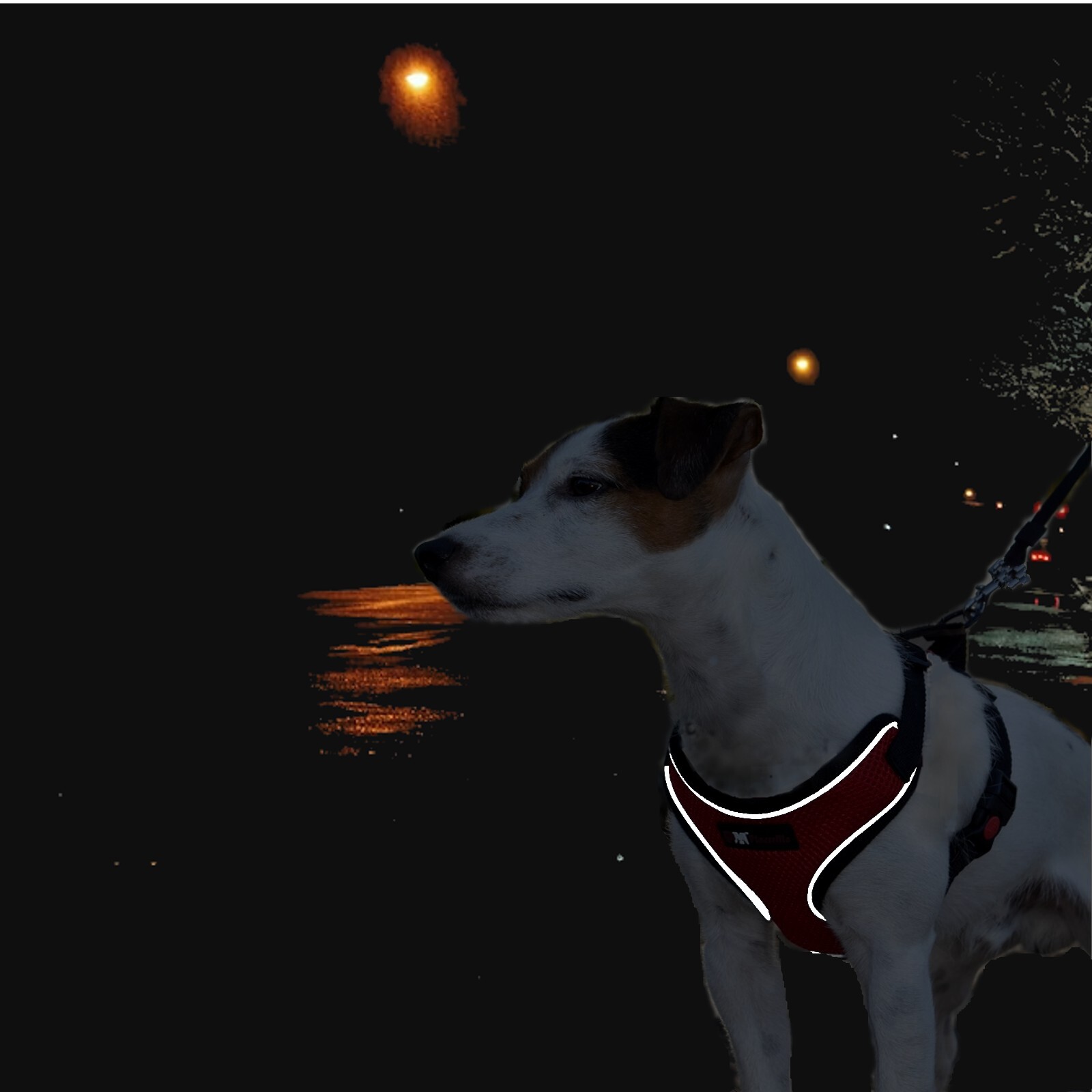 Dog Breathable Reflective Mesh Collar Harness-Travel Walk Seat Belt No Pulling