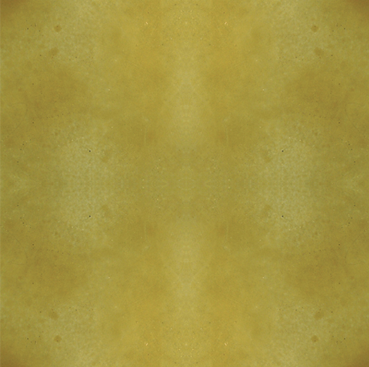 Engrave-A-Crete RAC (Acid) Concrete Stain-Sample Kit 16oz each