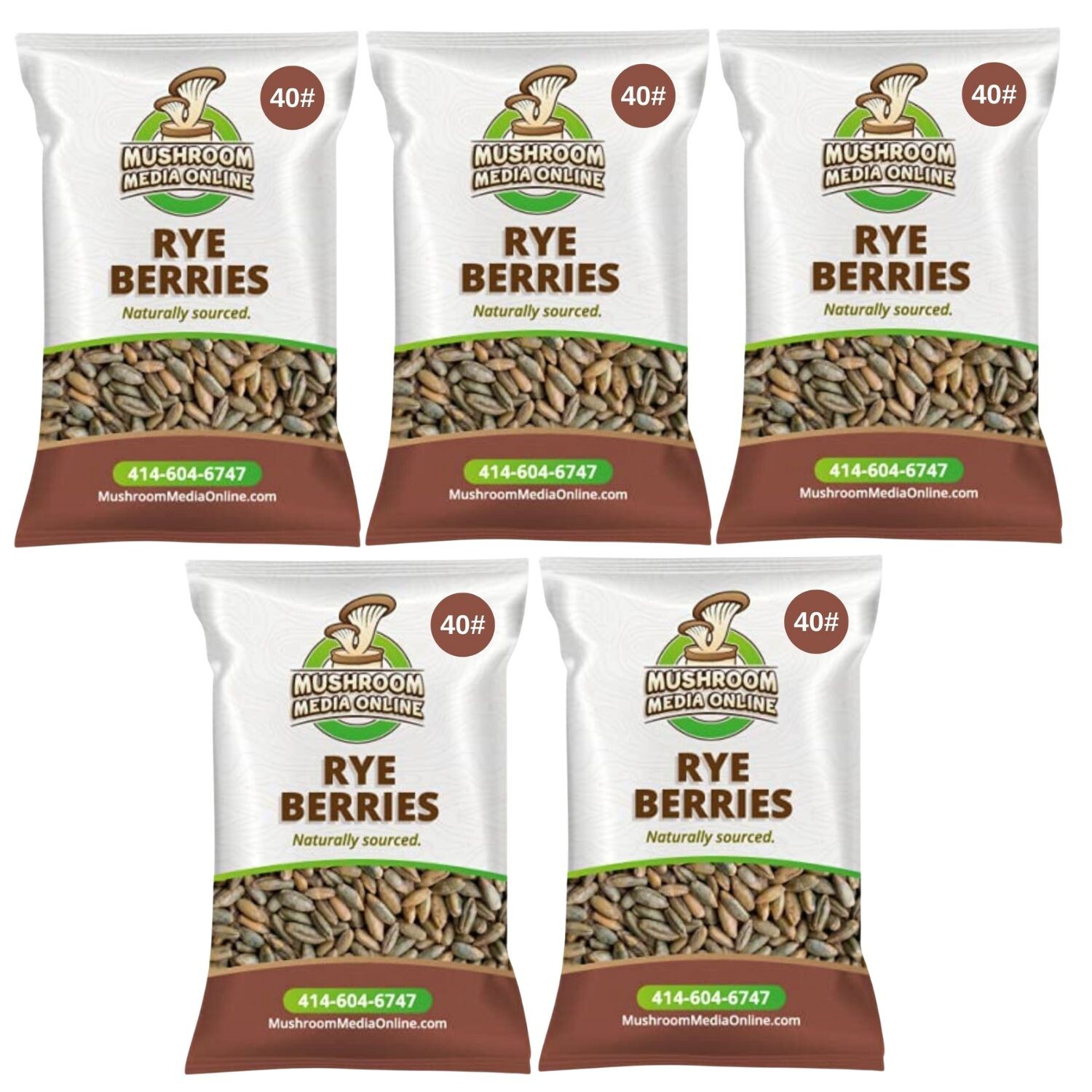 MushroomMediaOnline Whole Rye Berries