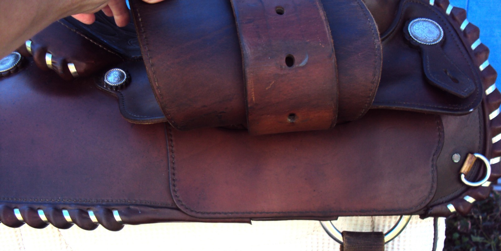 CIRCLE Y Western Show Saddle - 15" - SILVER CONCHOS - Padded Seat - BEAUTIFUL!