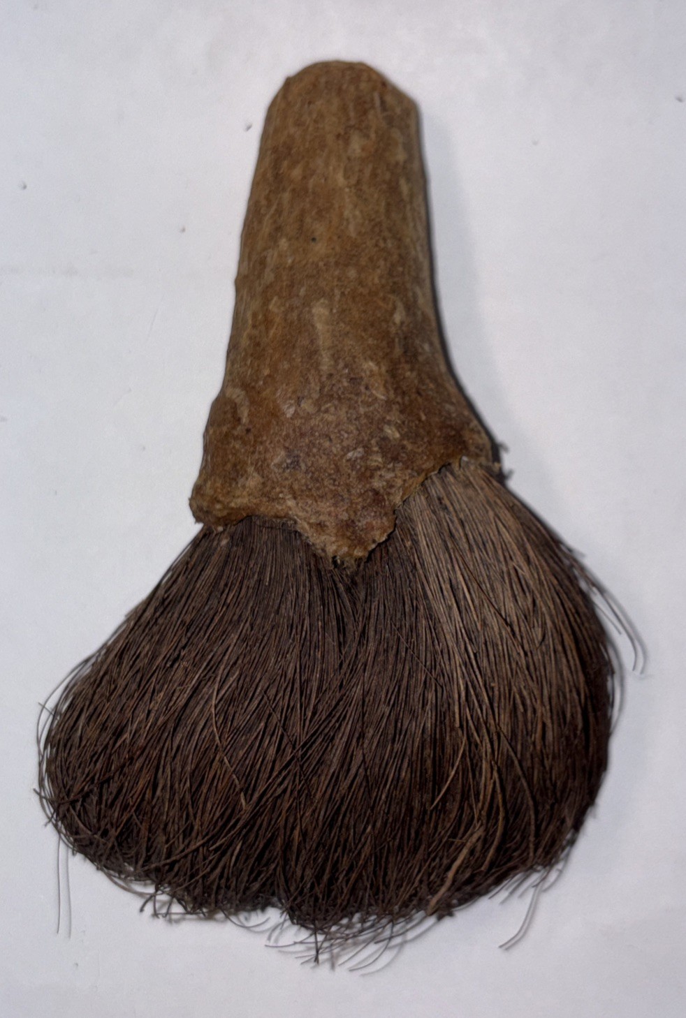 CHUKCHANSI OR MIWOK NATIVE AMERICAN SOAPROOT BRUSH 4”