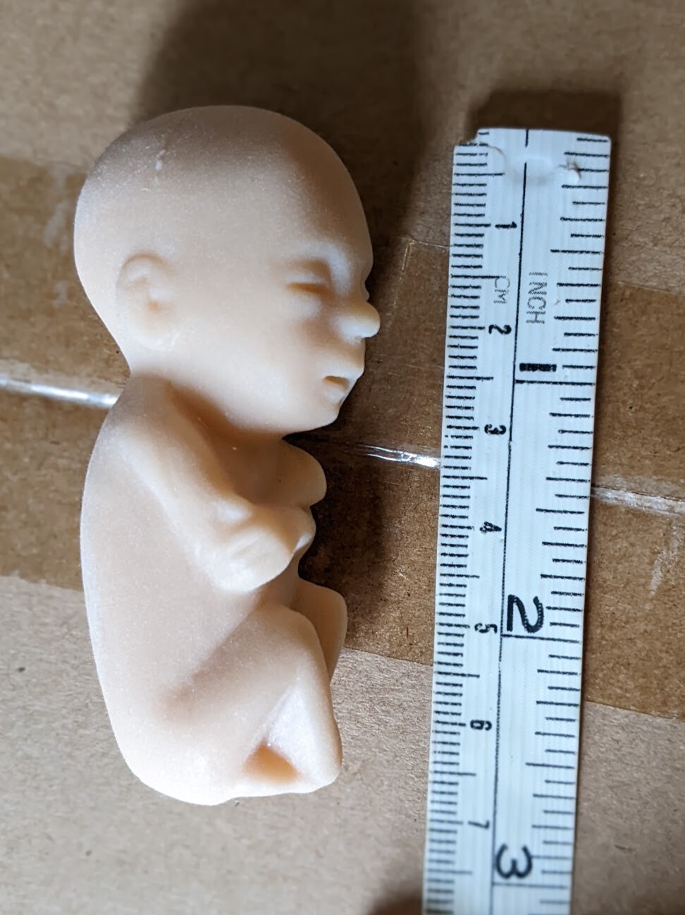 1 soft rubber model fetus, unusual medical fetal doll, abortion