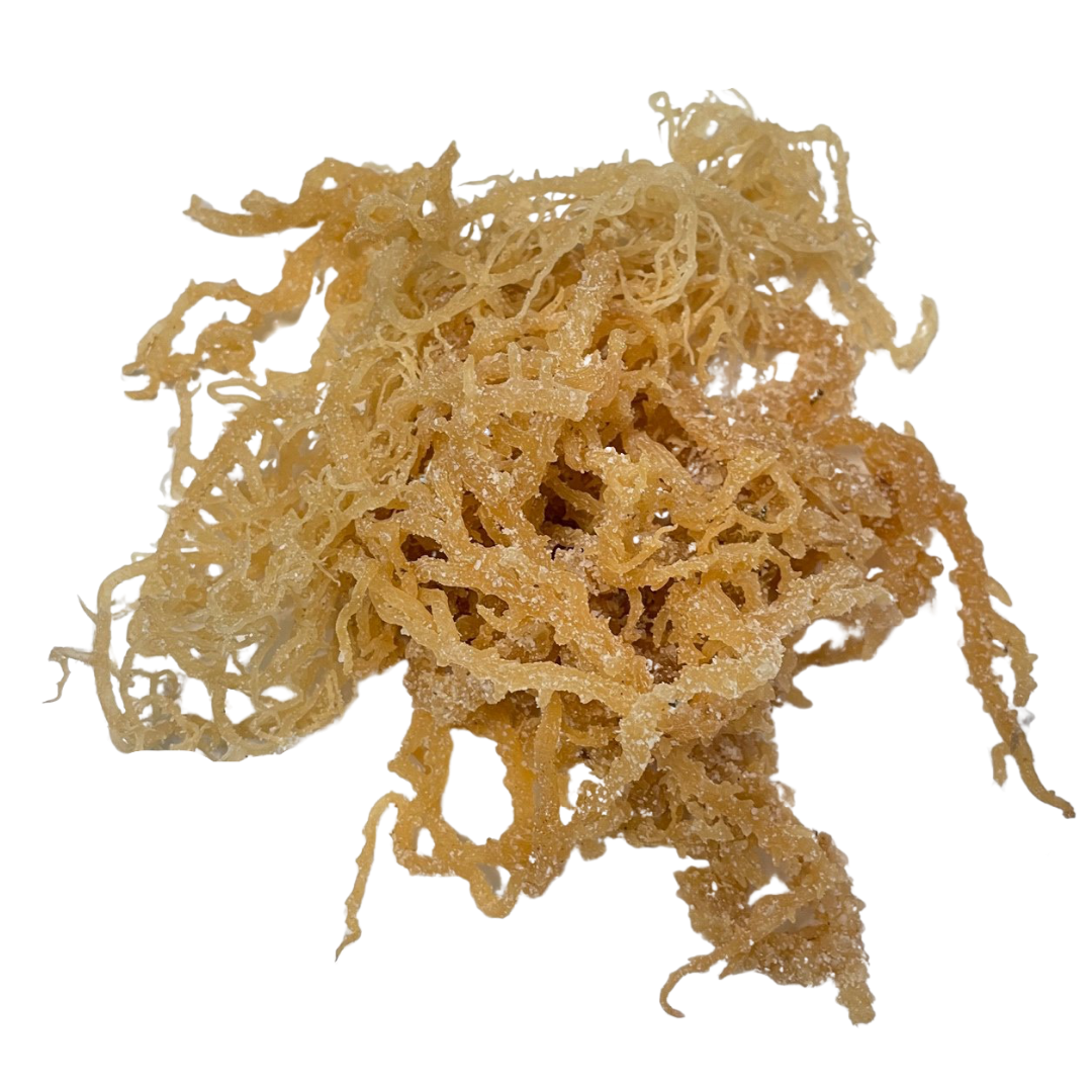 Irish Sea Moss Whole Leaf - 100% Raw WildCrafted Chondrus Crispus Superfood Bulk