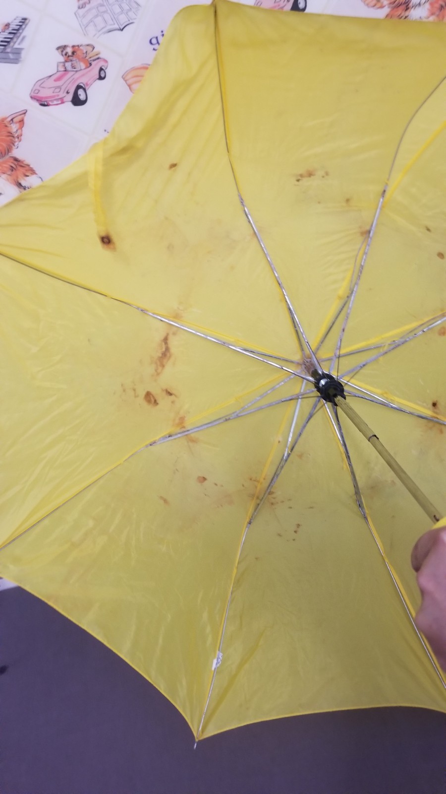 Rare 1992 Walt Disney World Splash Mountain Grand Opening Press Event Umbrella
