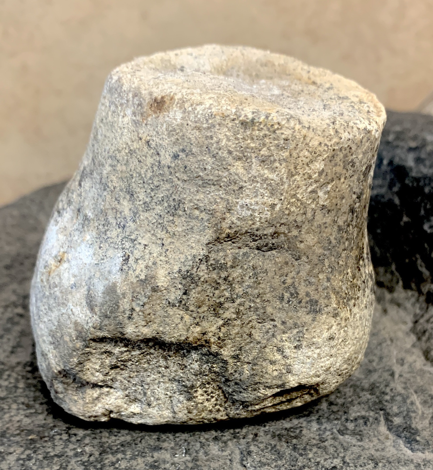 Native American Indian Artifact 22lb Grinding Stone BELL Pestle 2.75”