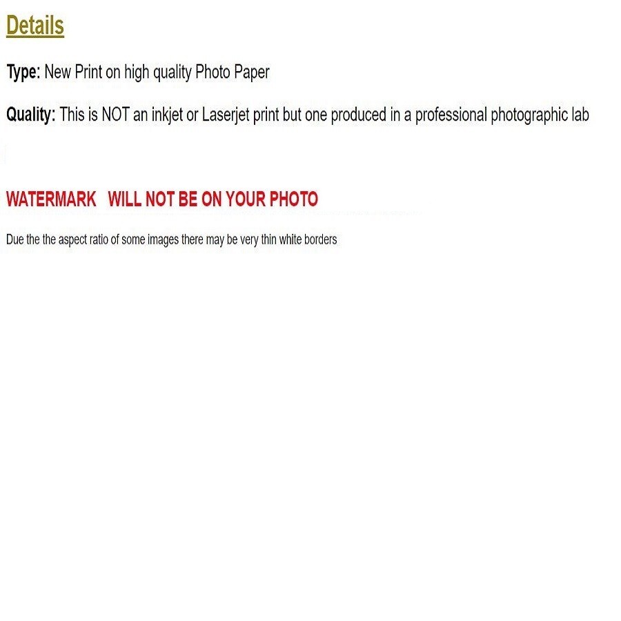 WW2 Picture Photo Simo Häyhä Most Successful Sniper 505 Kills 2132