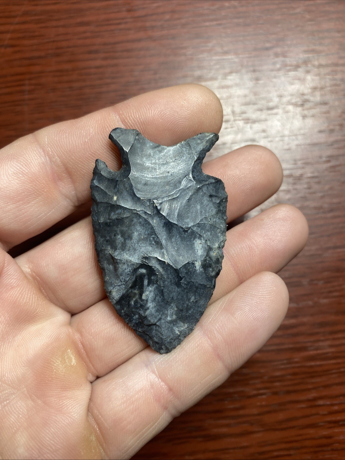 MLC s8279 2 1/4” Intrusive Mound Coshocton Chert Arrowhead Ohio Stone Artifact