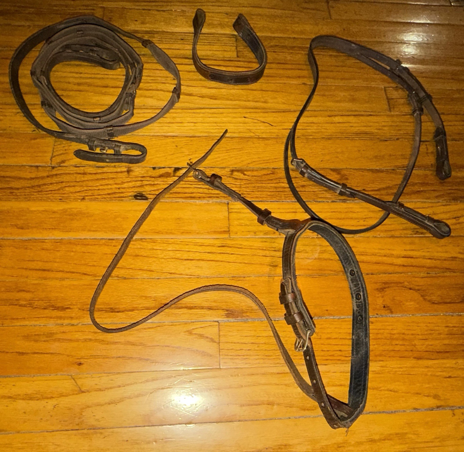 Leather Horse Head Gear and Leather/Nylon Reins