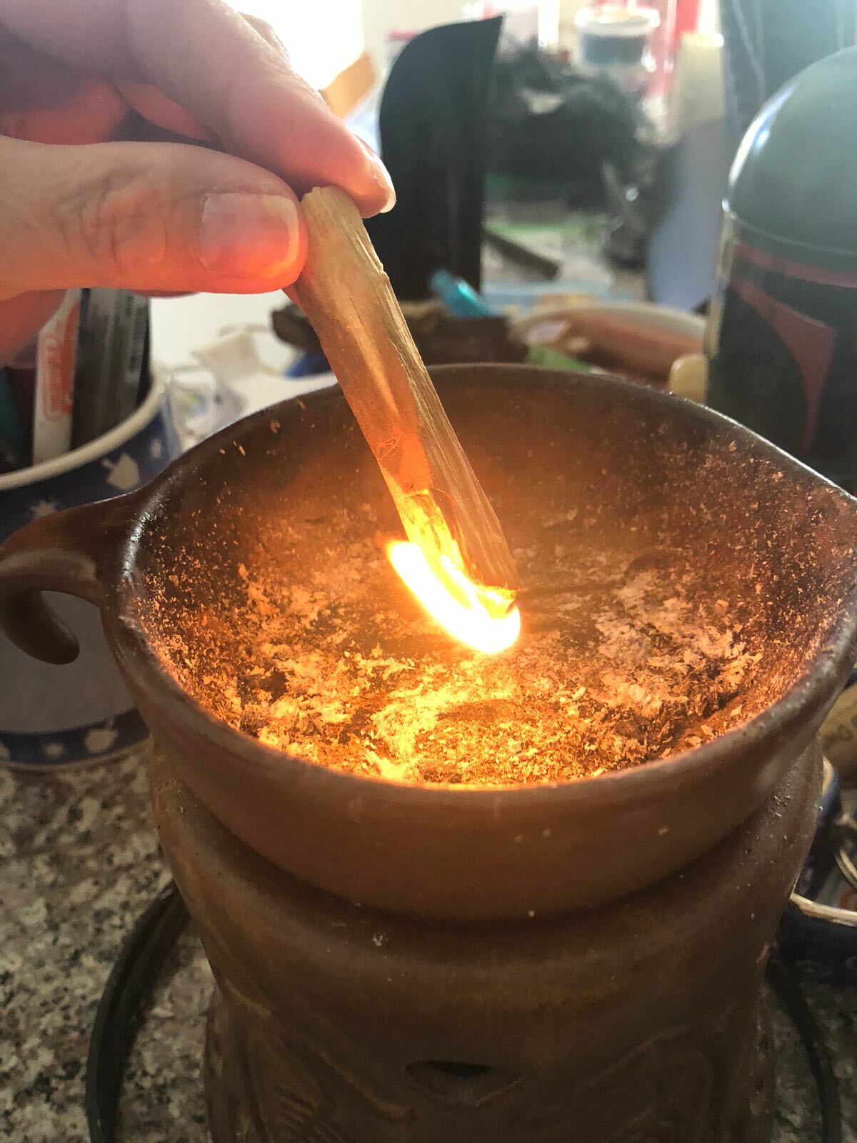 Palo Santo Incense 25 fresh sticks (4+inches long)