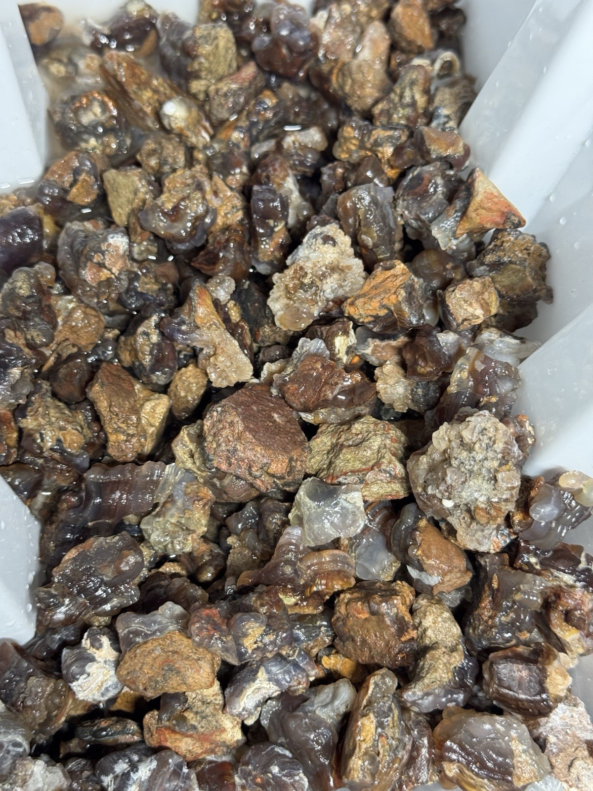 1/2 Lb Mid to Choice Grade Fire Agate Smalls Untreated Colorful Blind Grab Rough