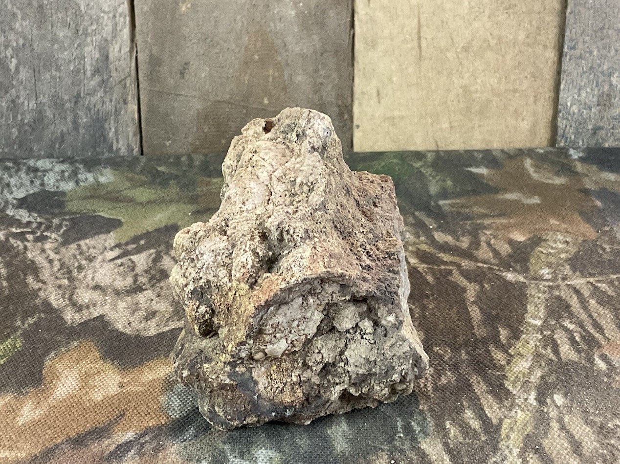 Missouri Druzy Quartz Fossilized Coral Stone Display