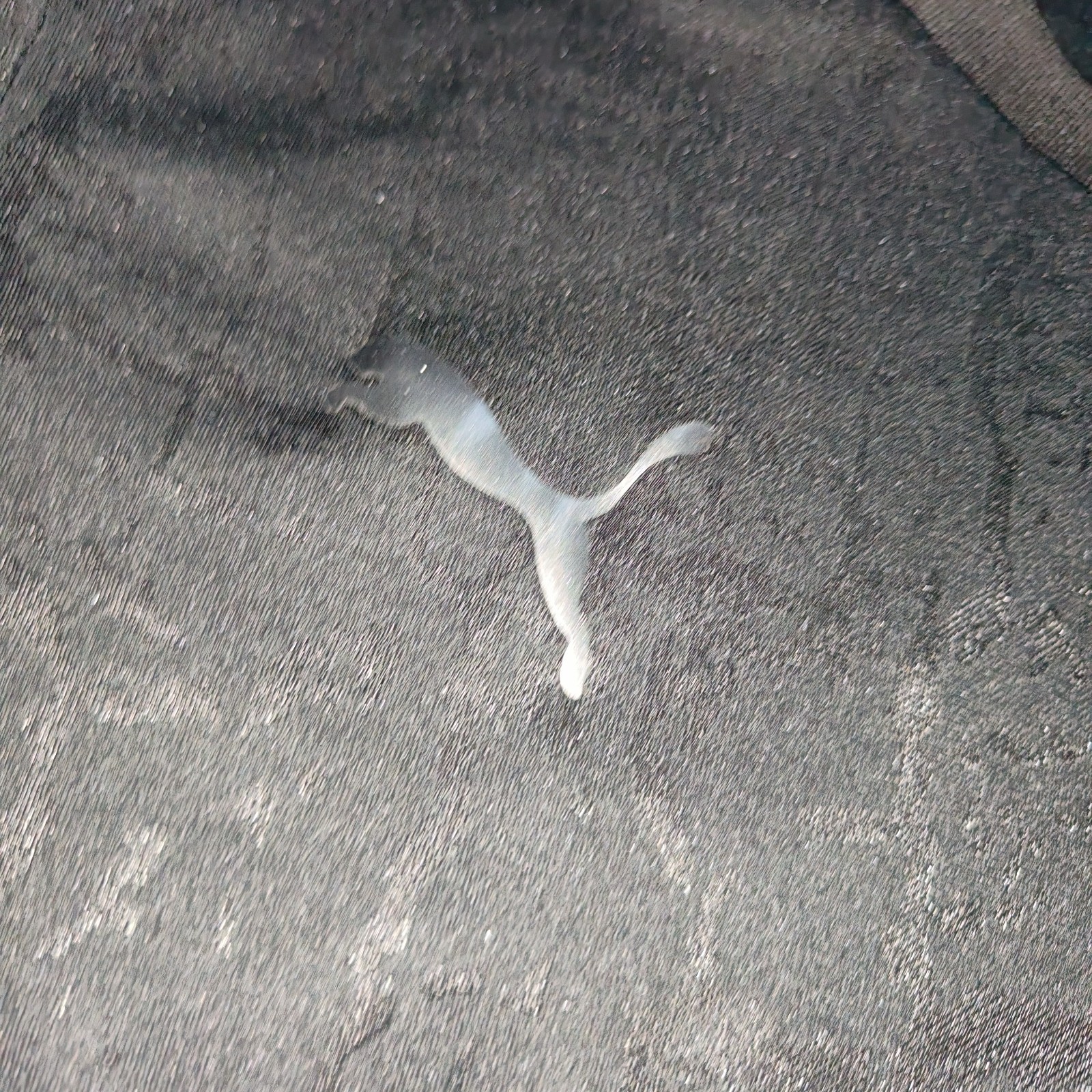 Borussia Dortmund Special Football Shirt Jersey 2022 2023 Puma Size L