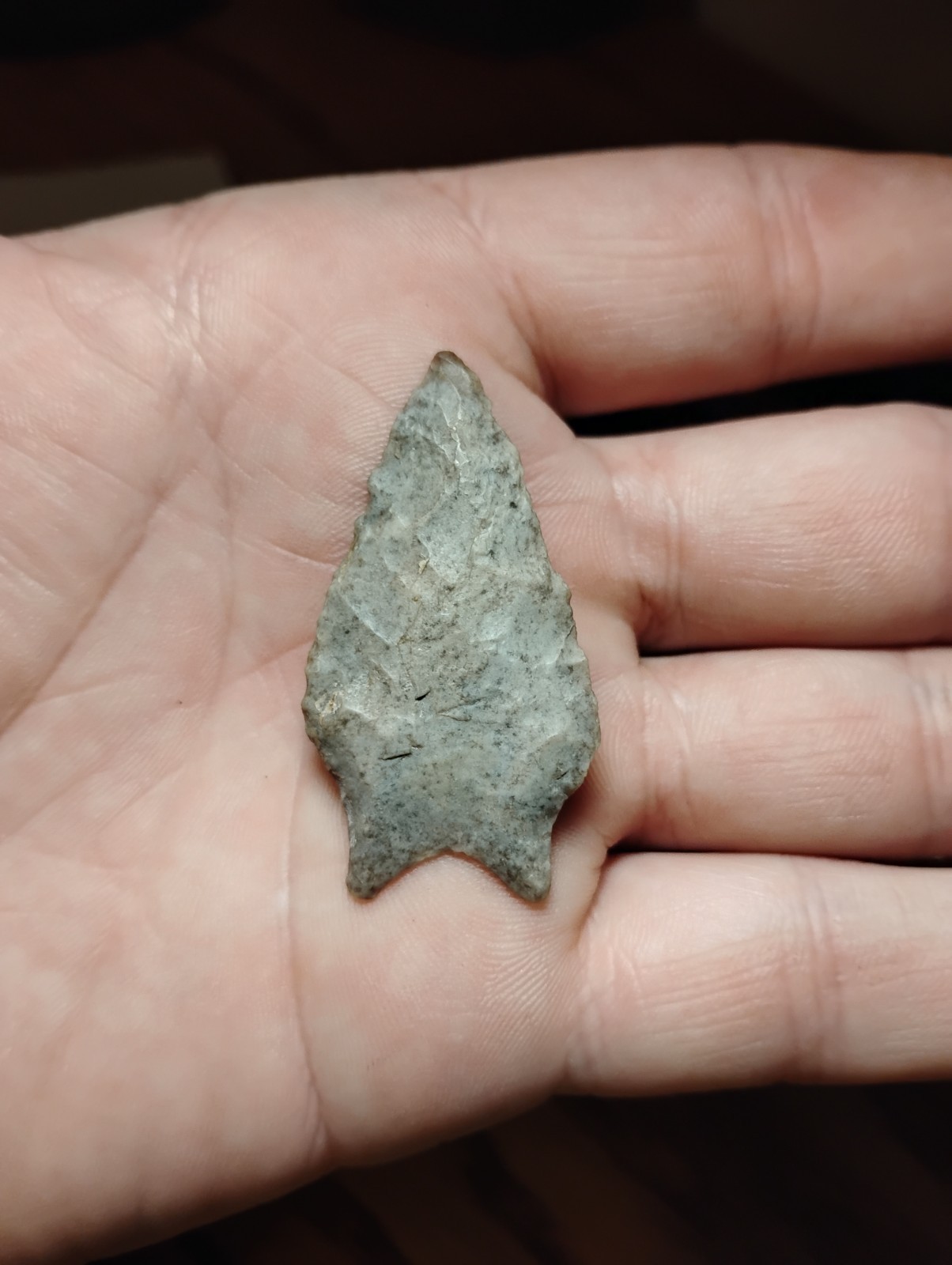 Killer Ohio Paleo Point Ground Base Wafer Thin Authentic!!