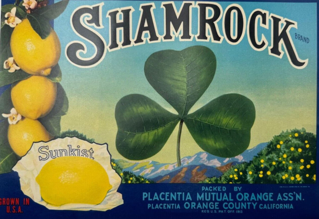 Original Vintage 1930s Lemon Crate Label, Shamrock Brand, Placentia California