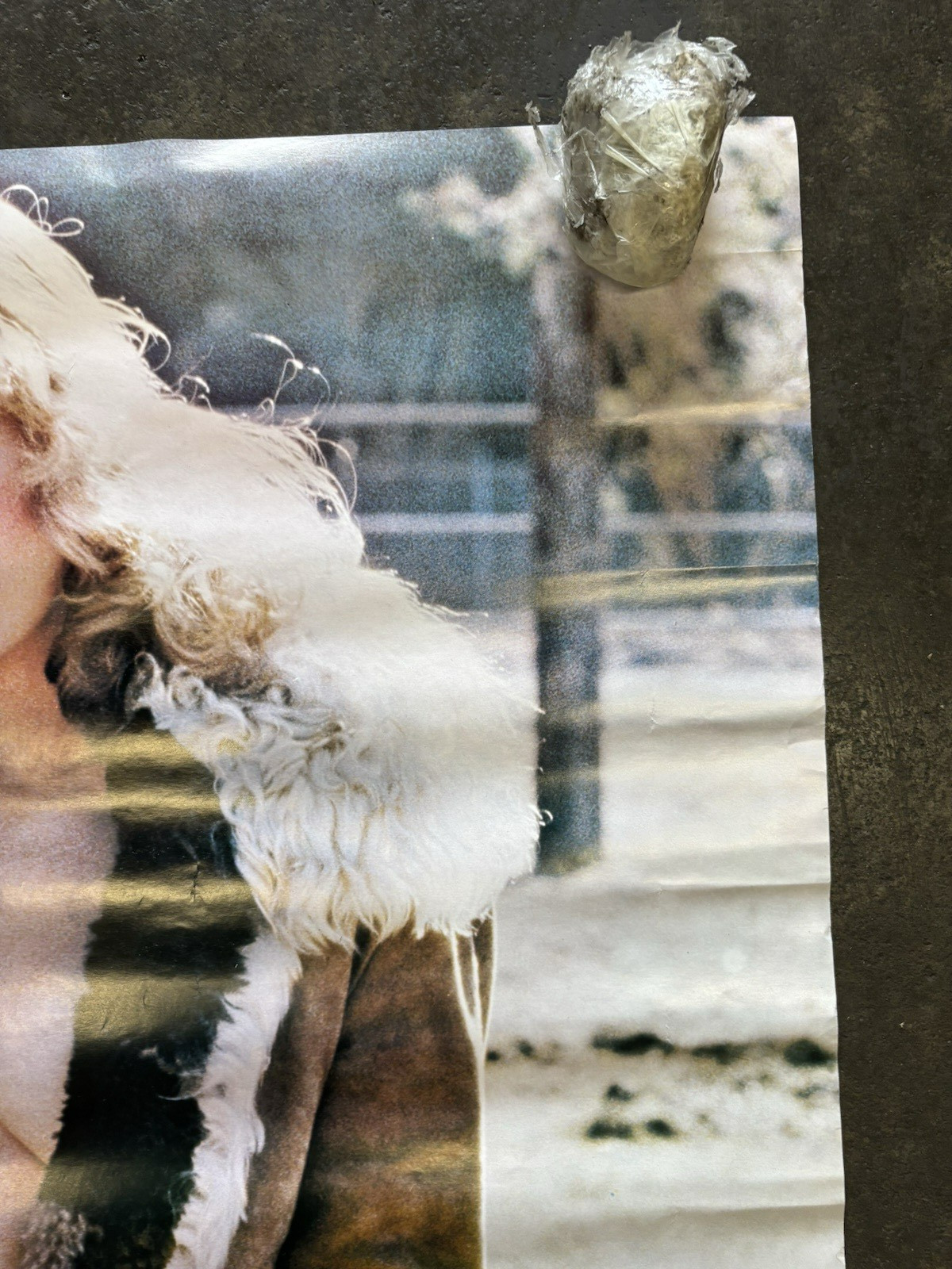 Dorothy Stratton playmate hot girl Poster 1979 car garage man cave C2803