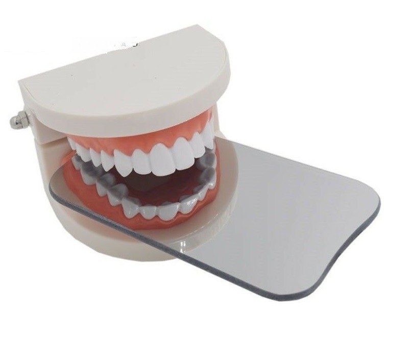 Dental Mirror Photography Mouth Mirrors Intraoral 2-sided Glass Fine/Normal Edge