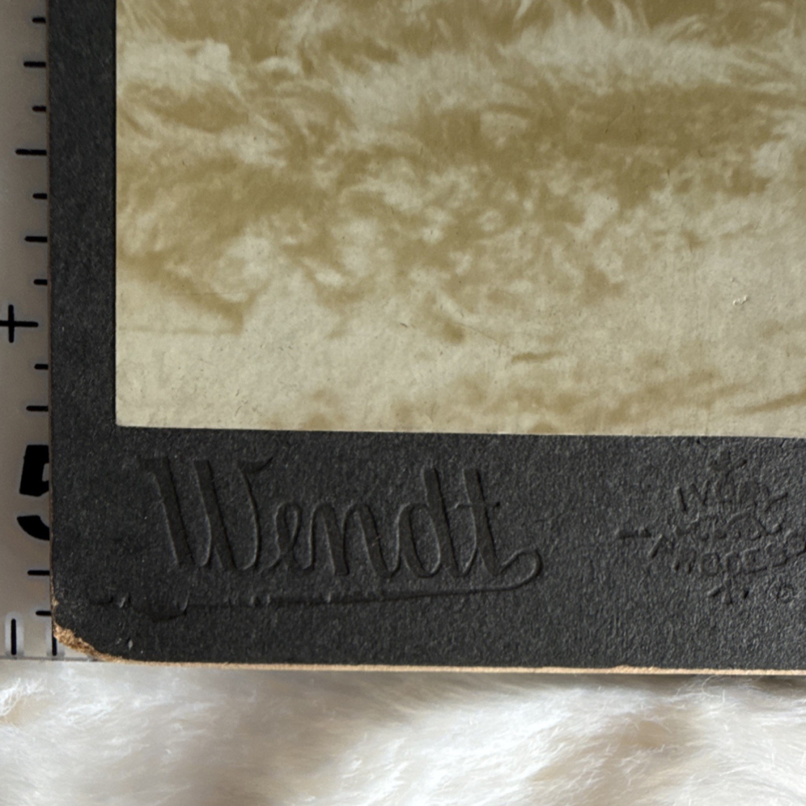 Wendt Cabinet Card Photograph Woman Sepia Portrait Brooklyn NY" Vintage