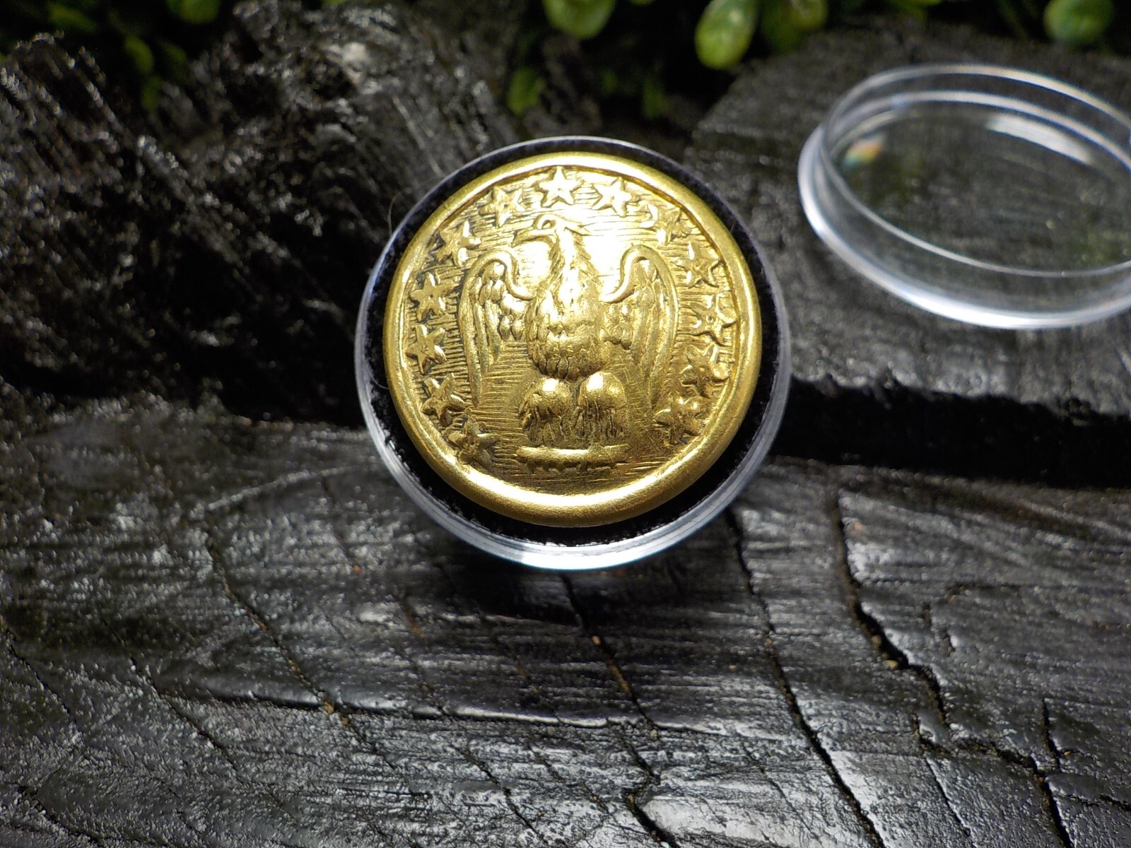 24k Gold Plated Confederate Staff Officers Coat Button with Free Button Case