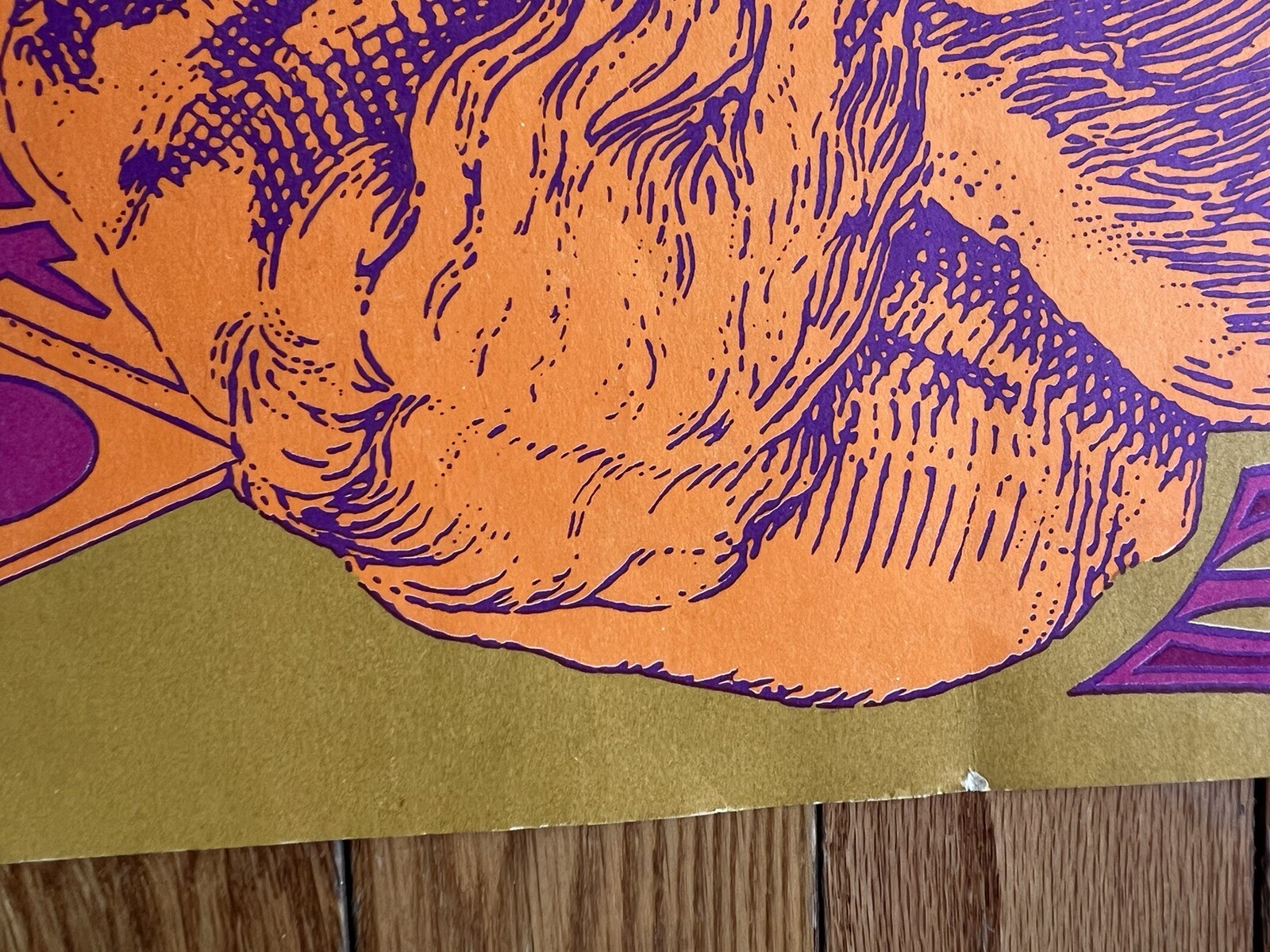 JANIS JOPLIN BIG BROTHER AND THE HOLDING COMPANY AT THE ARK VINTAGE POSTER 1967