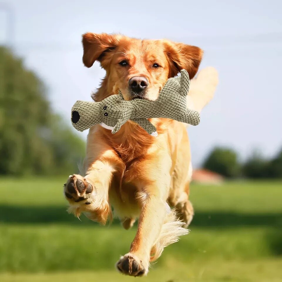 Dog Chew Toys for Aggressive Chewers Squeaky Washable Cat Dog Plush Toy