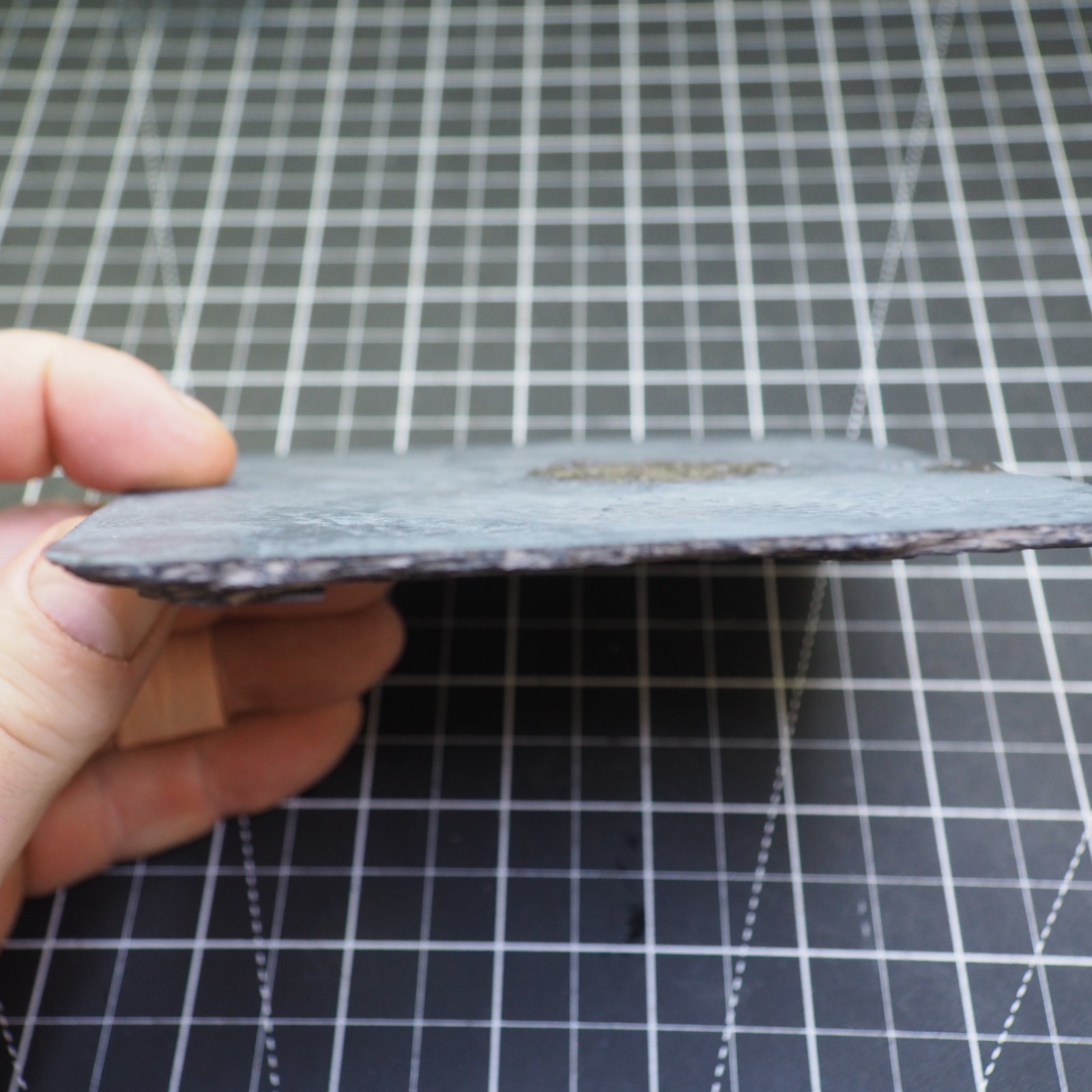 Chotecops ferdinandi Pyrite Trilobite Bundenbach Germany Fossil Devonian