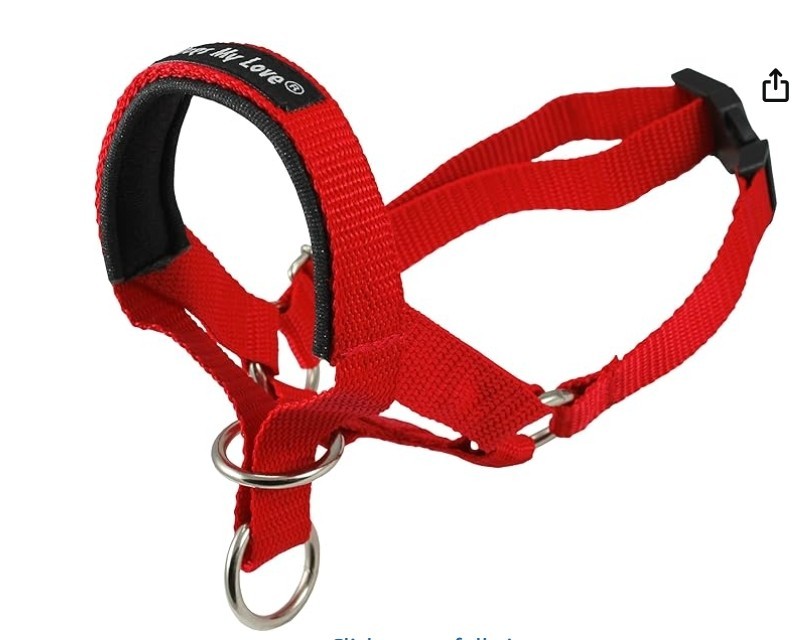 Set of 2 Dog Head Collar Halter Red 6 Sizes (L: 10.25"-12.25" Snout)